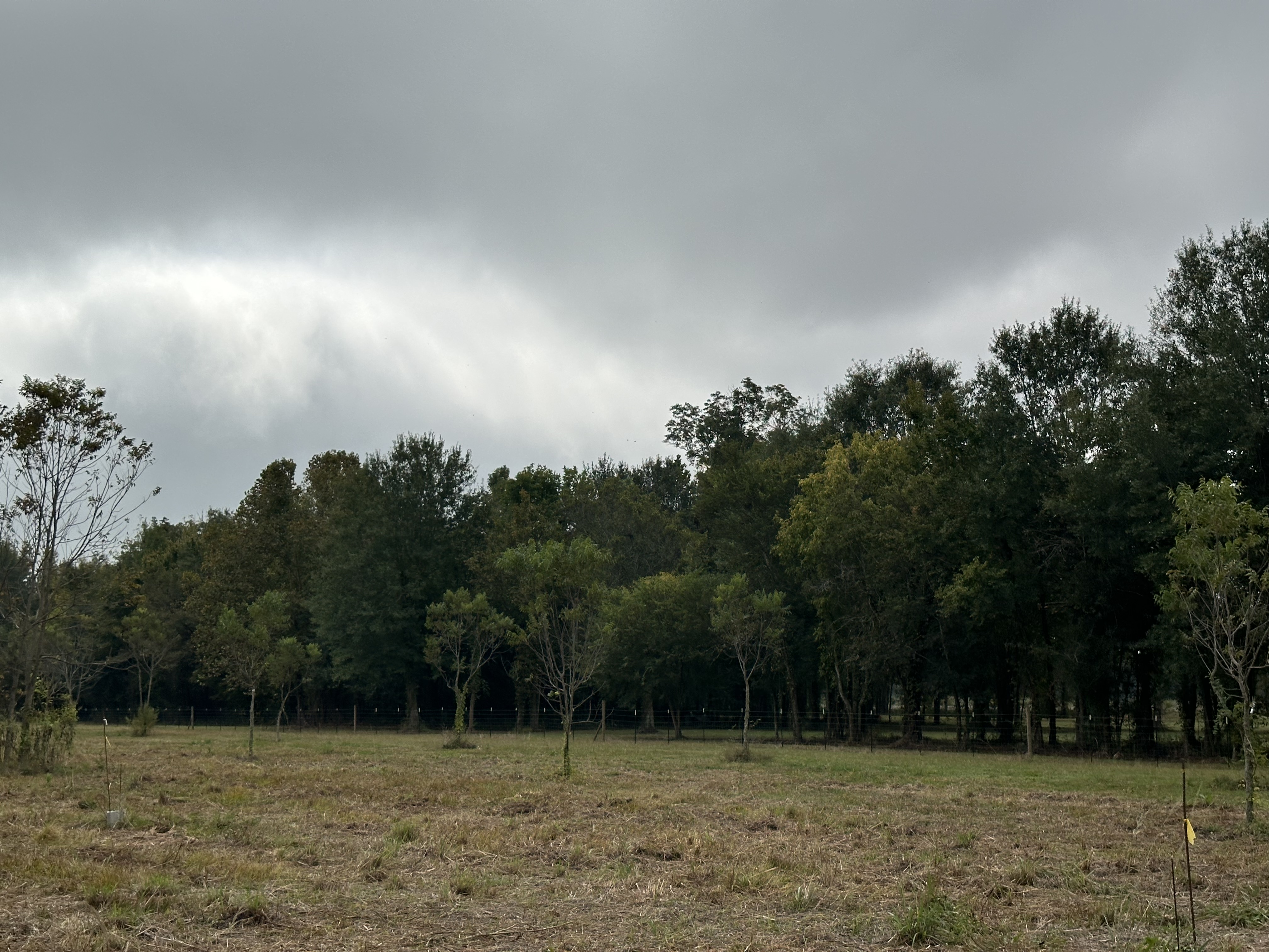 Livonia, Louisiana, 70755, United States, ,Land,For Sale,1986253