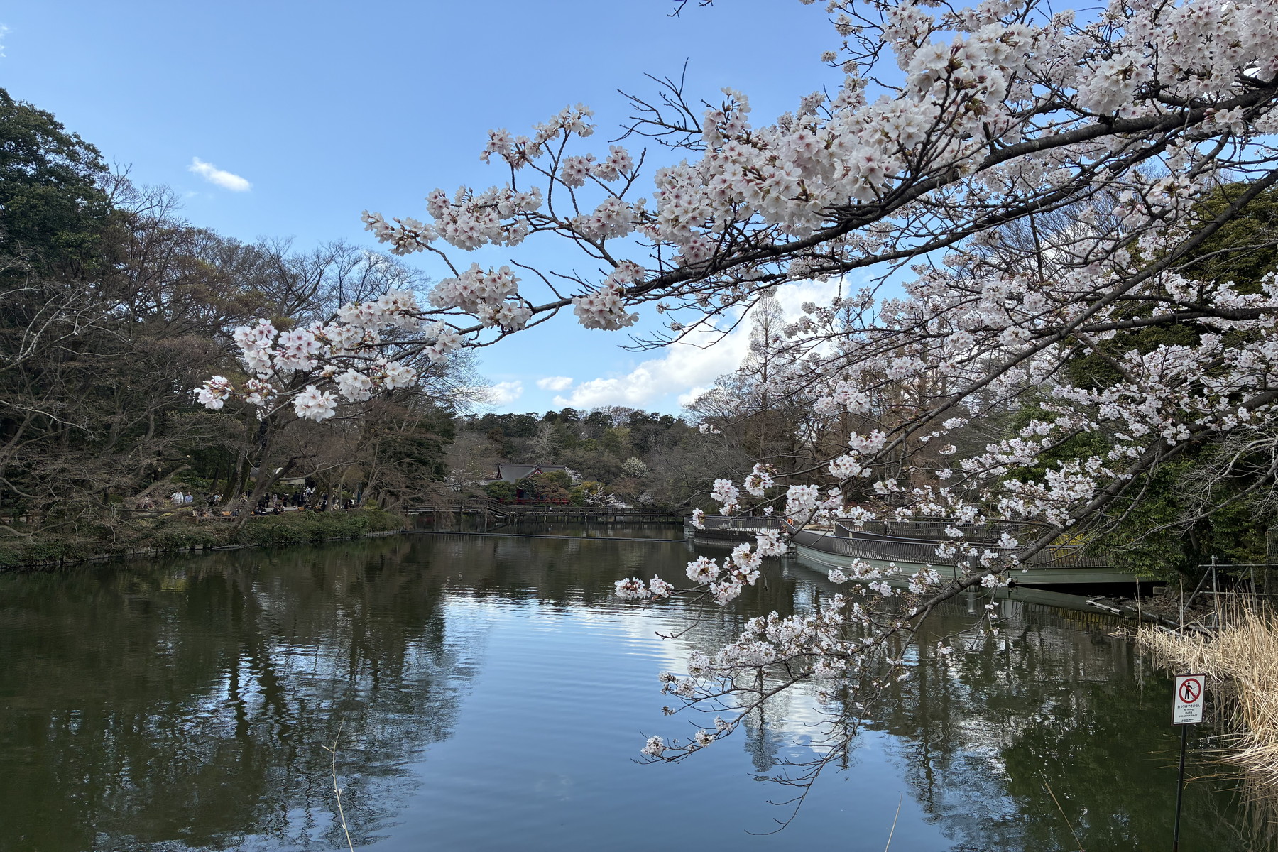  Inokashira Parkside Residence - 物件實景