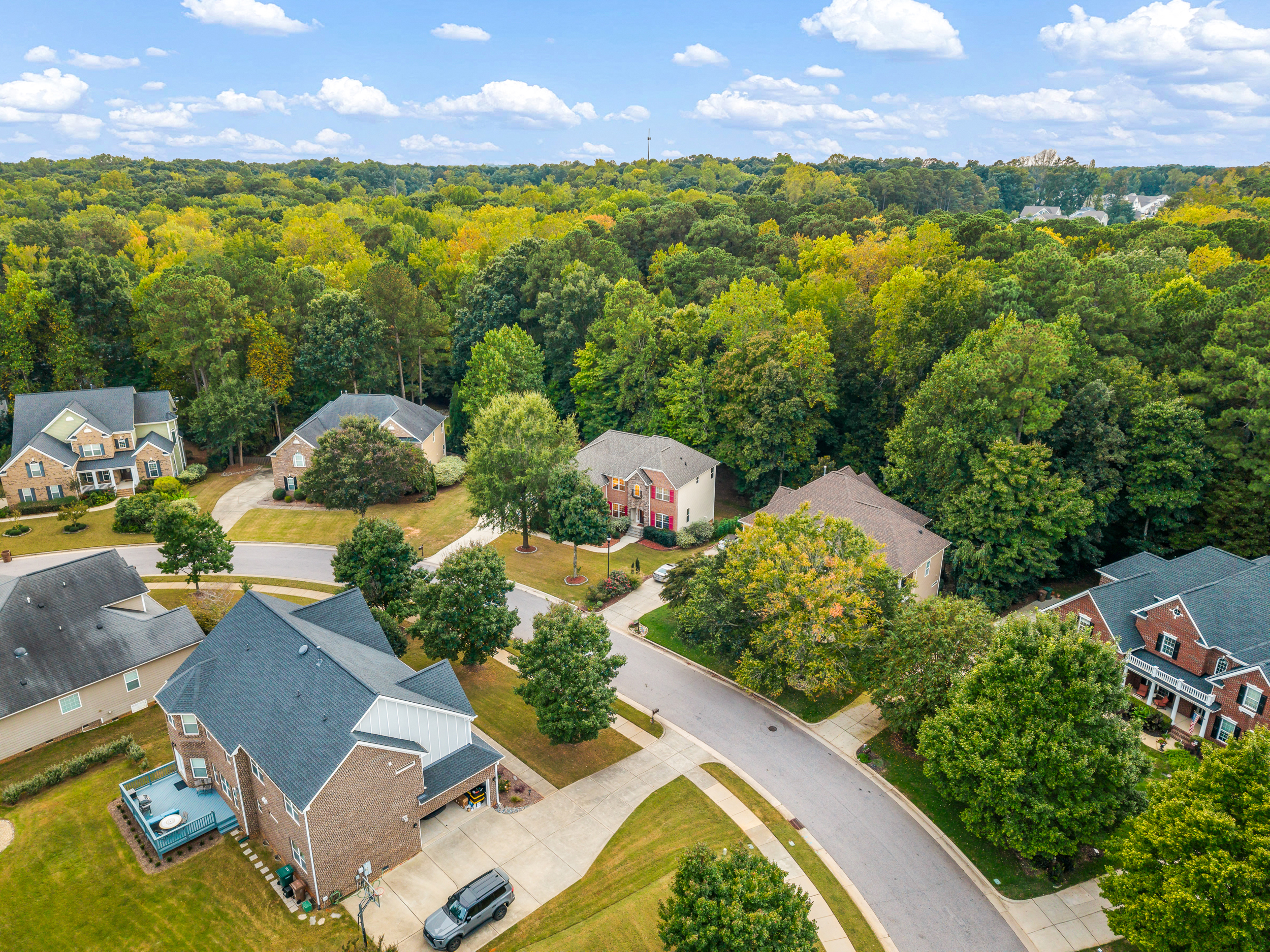 110 Vintage Hill Circle, Apex, NC 27539 - 物件實景