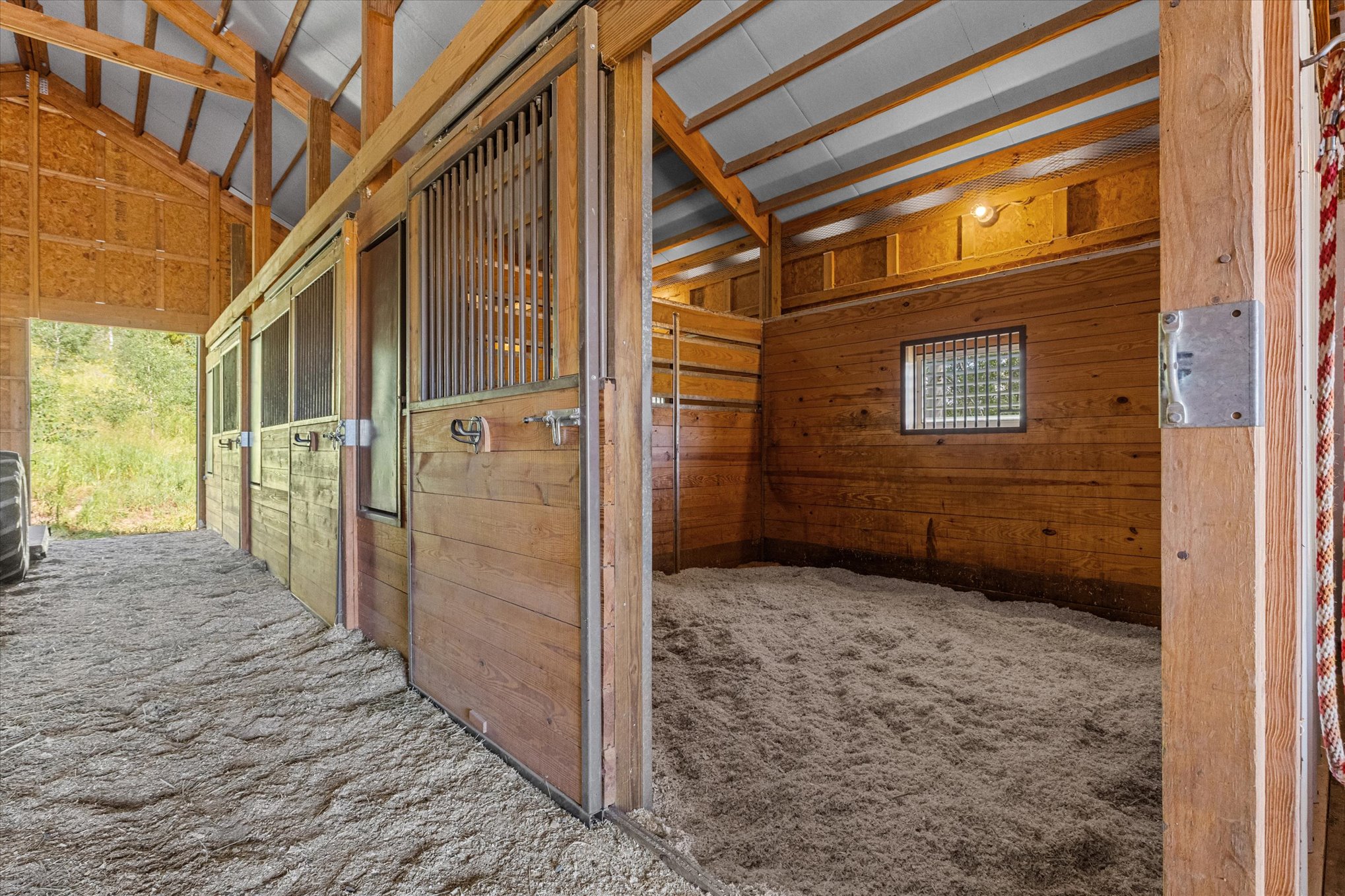  59205 Button Willow Drive, Clark, CO, 80428 - 物件實景