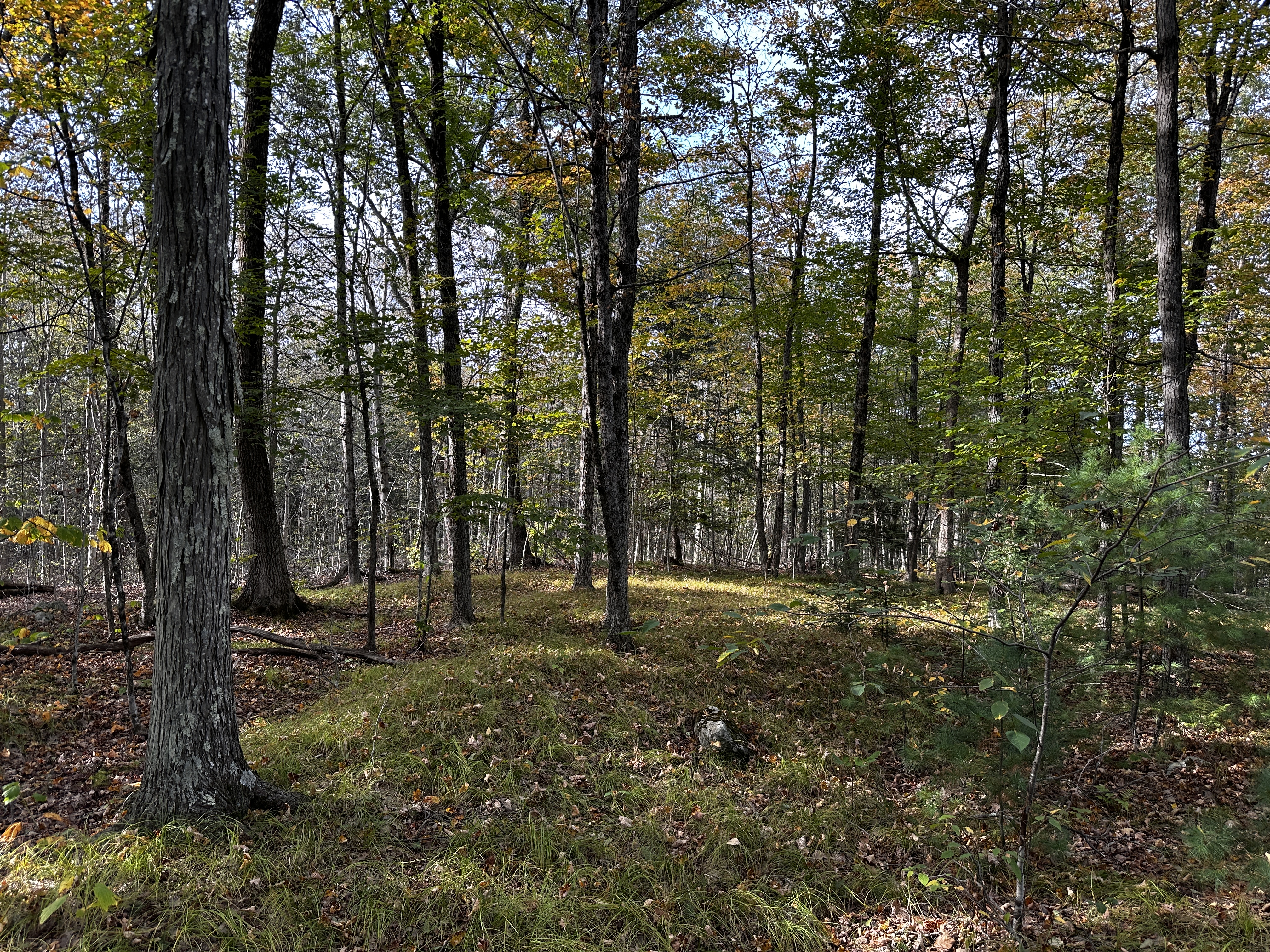  000000 Norfolk Road - 物件實景