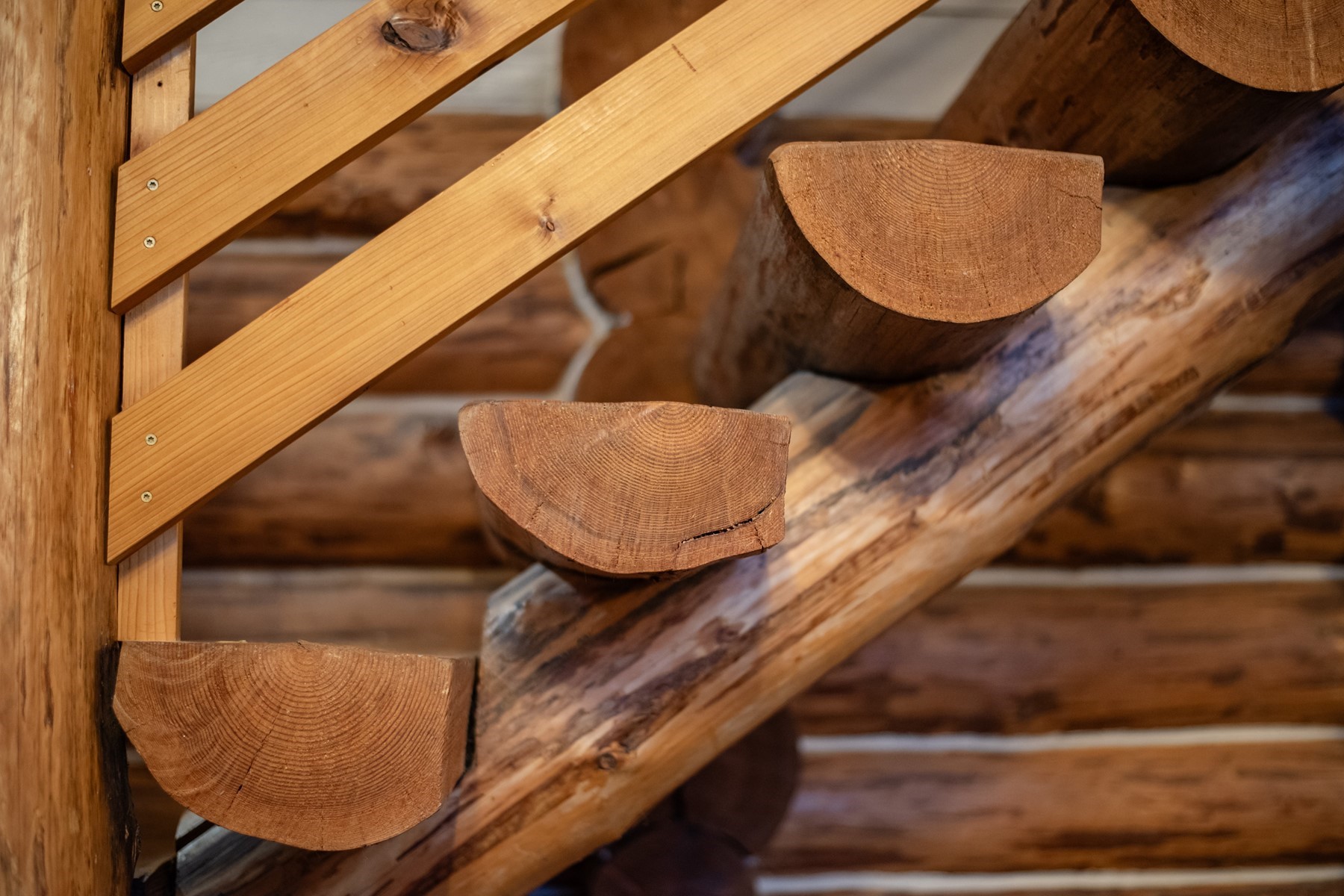  Logs Above The Lake - 物件實景