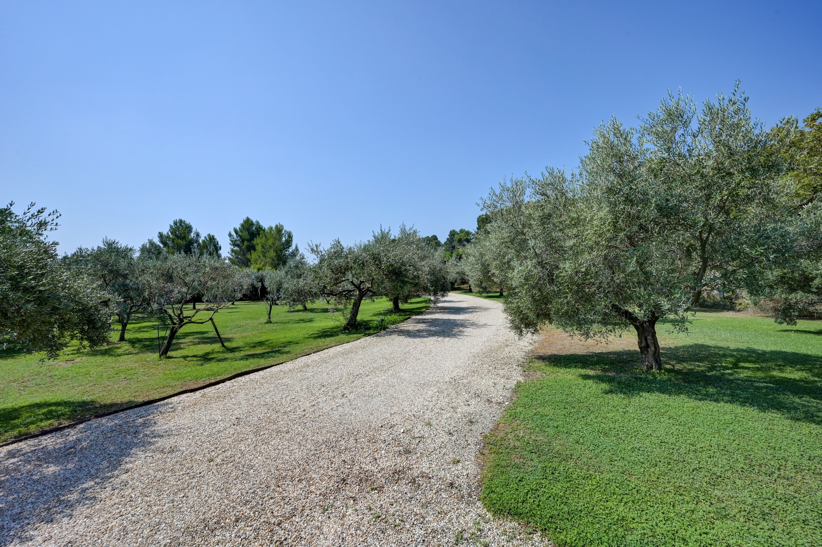  Property with an exceptional panoramic view of the Alpilles and Mont Ventoux. - 物件實景