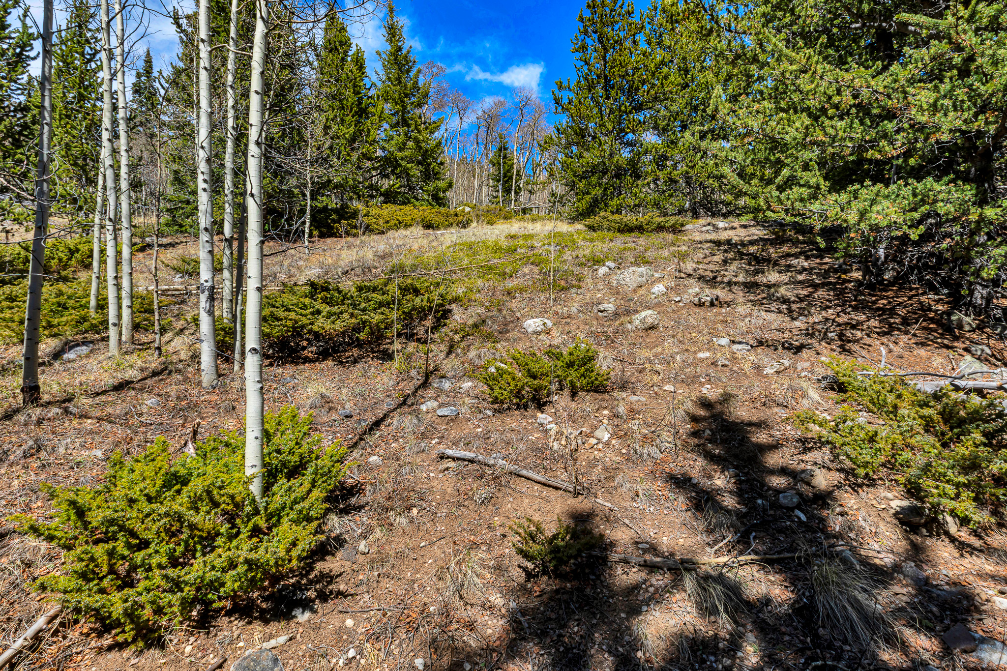  270 Co Rd 667, Alma, CO, 80440 - 物件實景