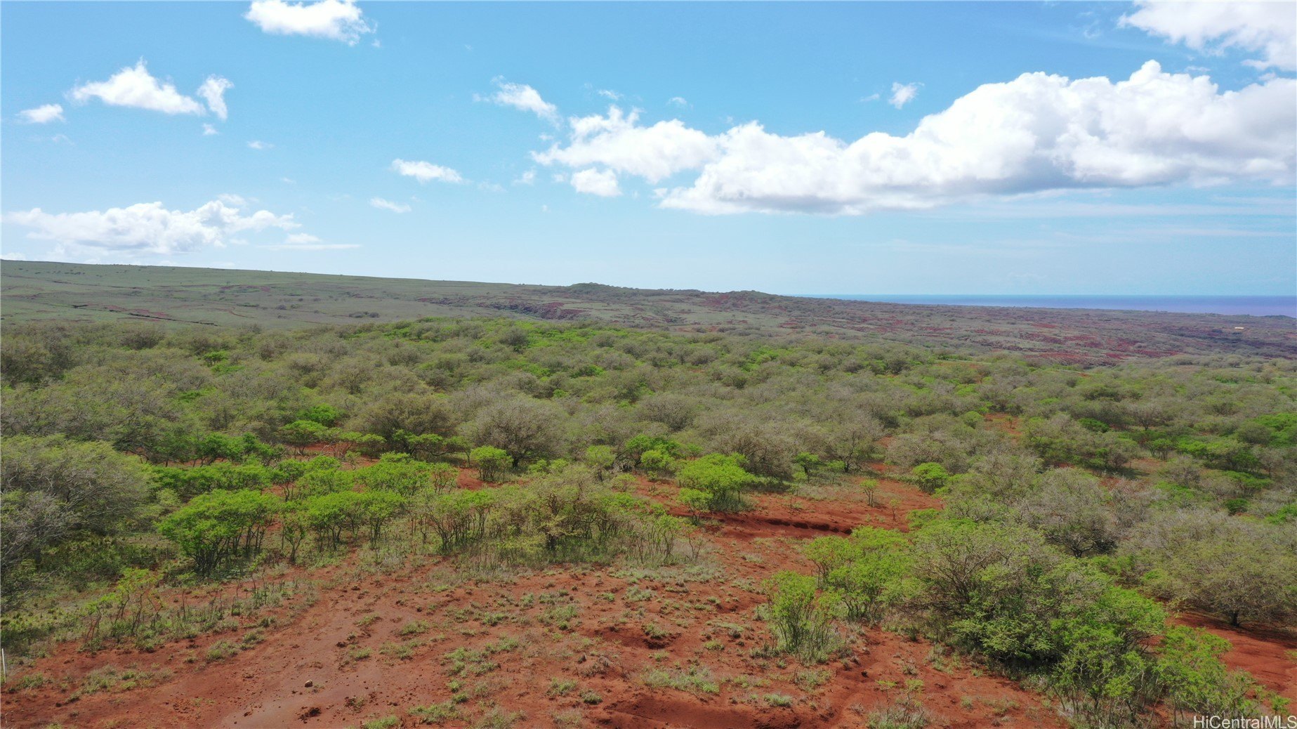 Maunaloa, Hawaii, 96770, United States, ,Land,For Sale,1977716