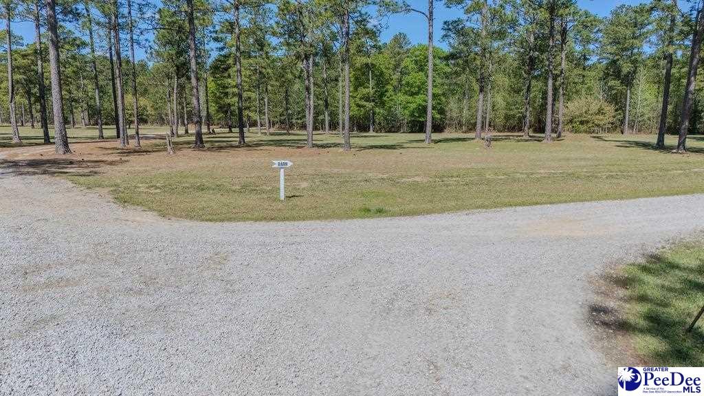 1315 Hill Harrell Road, Effingham, South Carolina, 29541-3179, United States, ,Land,For Sale,1315 Hill Harrell Road,1501598