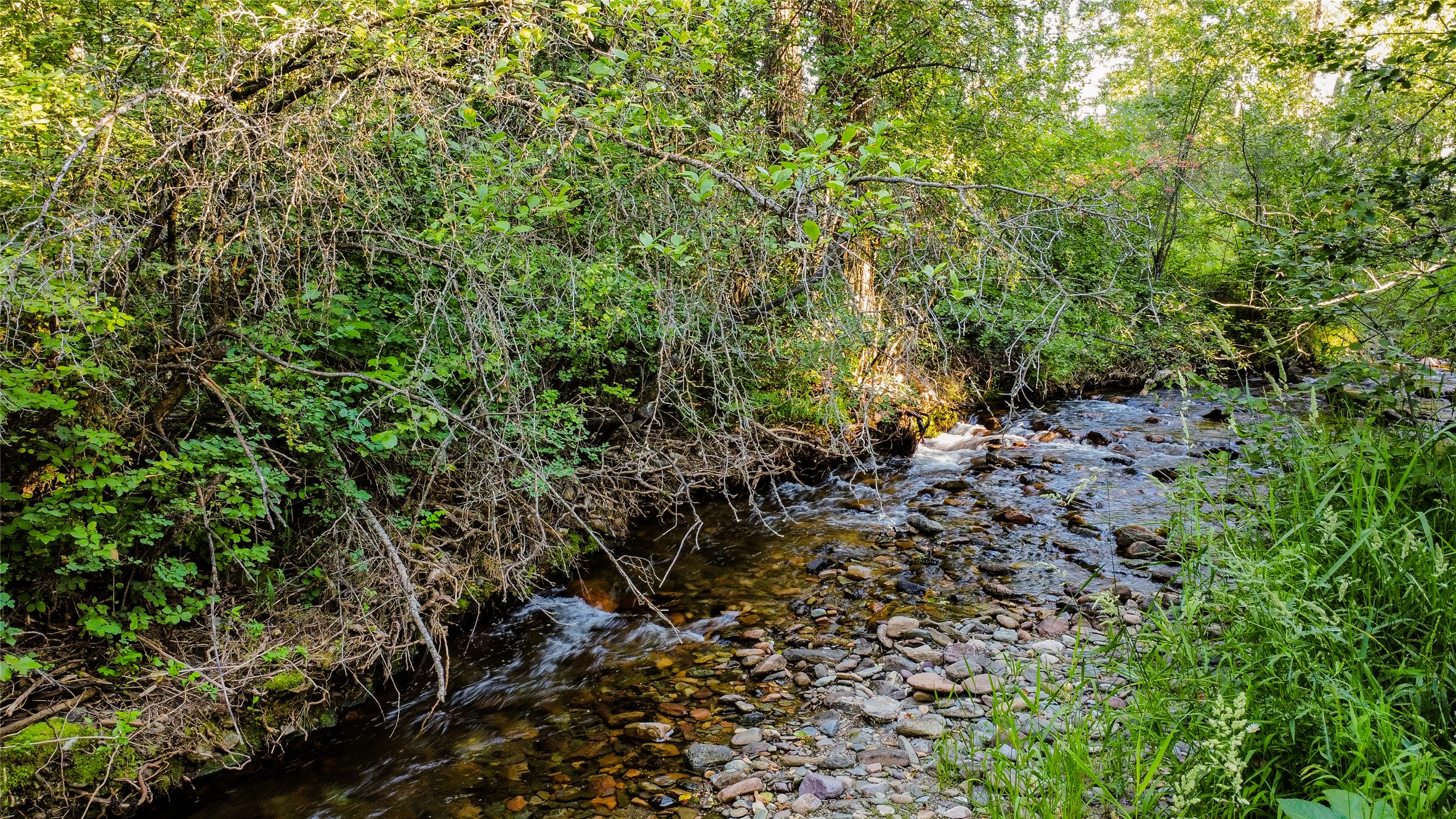  7755 grant  creek road - 物件實景