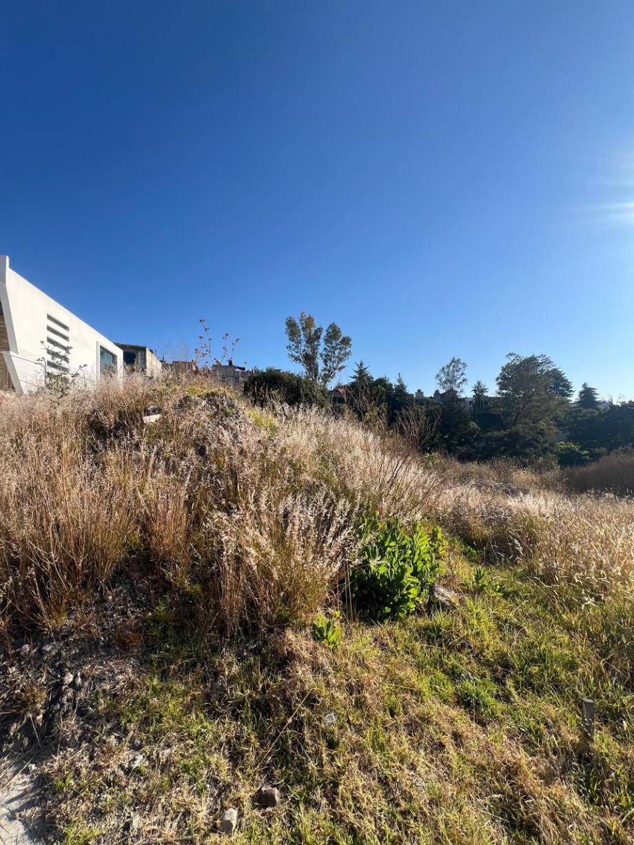 Atizapán de Zaragoza, Estado de méxico, 52938, Mexico, 1 Bedroom Bedrooms, ,Residential,For Sale,2002176