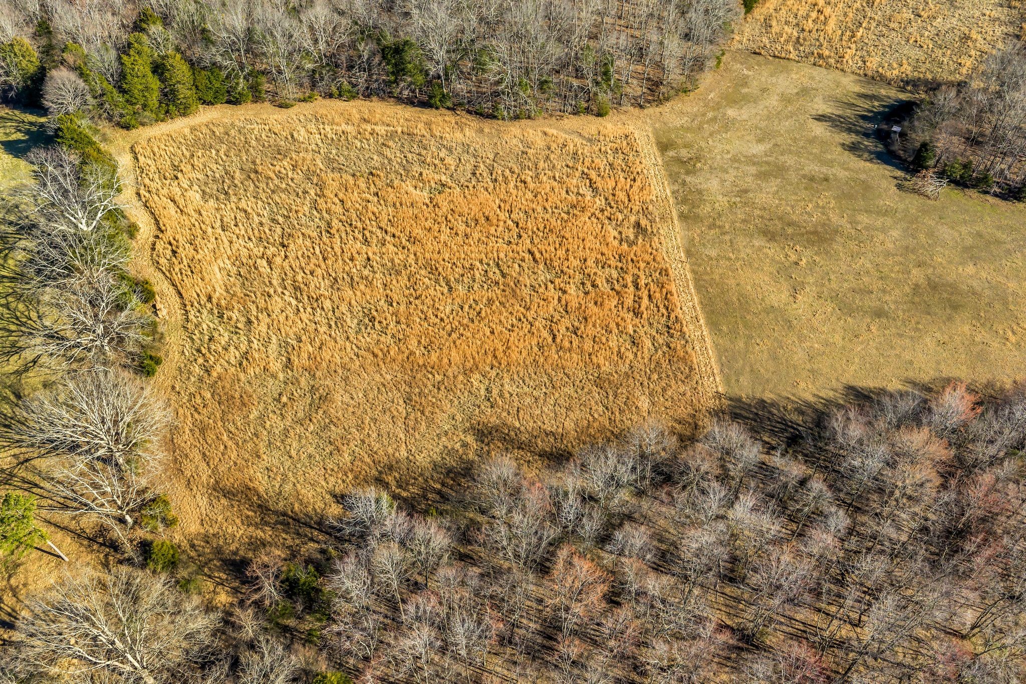  2340 Ridge Road, McEwen, TN 37101 - 物件實景