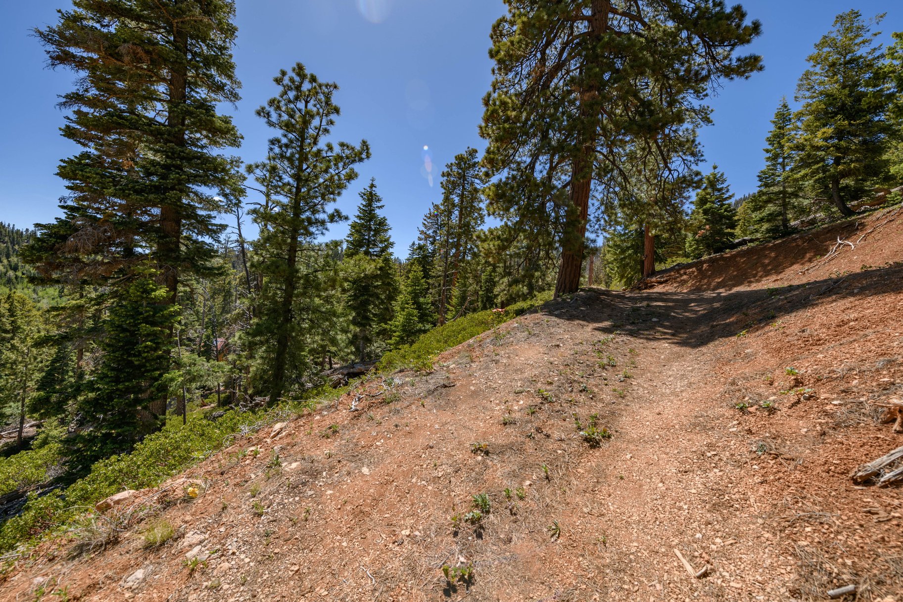  Quiet Mountain Retreat Near Navajo Lake - 物件實景