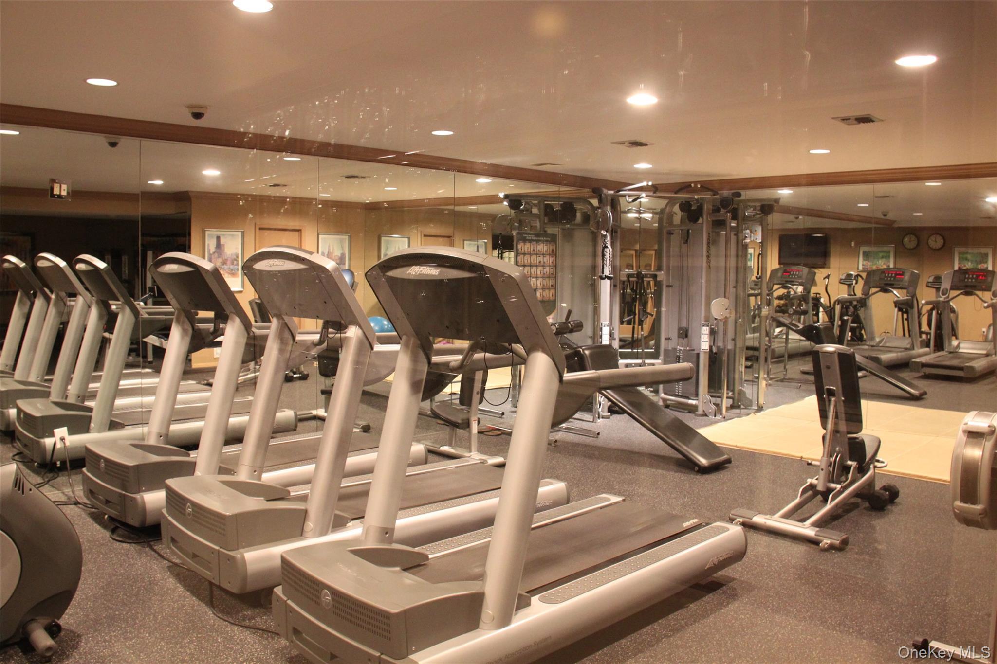 93 Eagle Chase, Woodbury, NY, 11797 - 物件實景