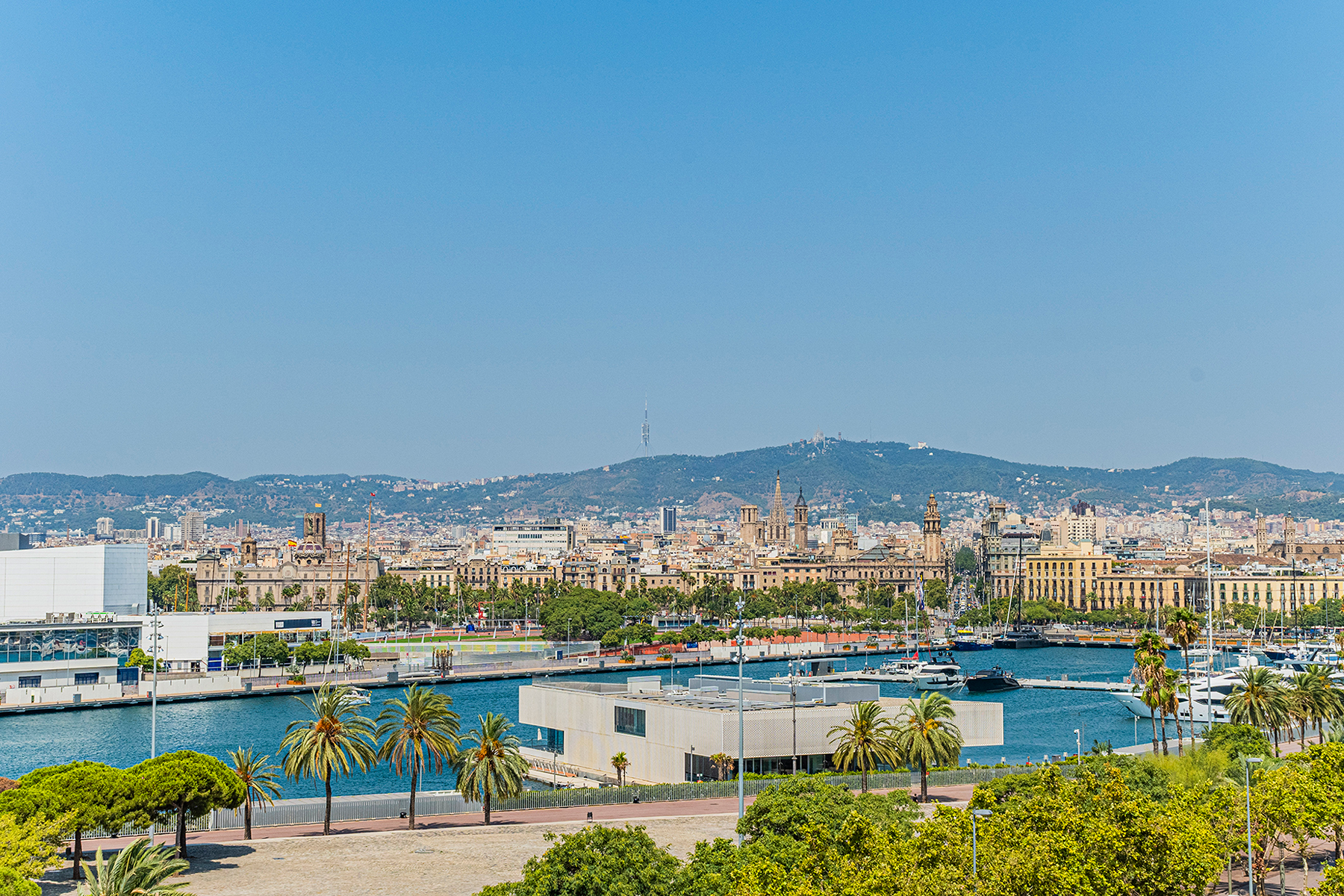  Penthouse with pool in Barceloneta with sea views - 物件實景
