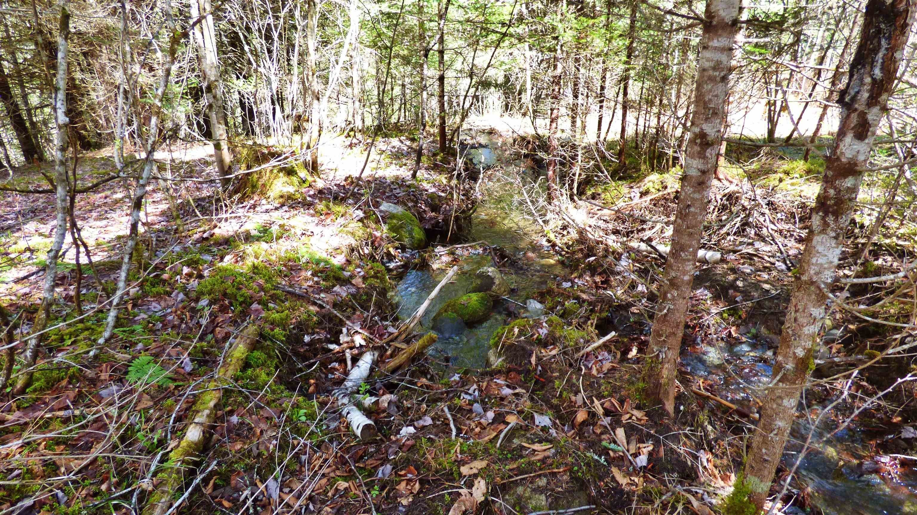 Wheelock, Vermont, 05851, United States, ,Land,For Sale,2017669