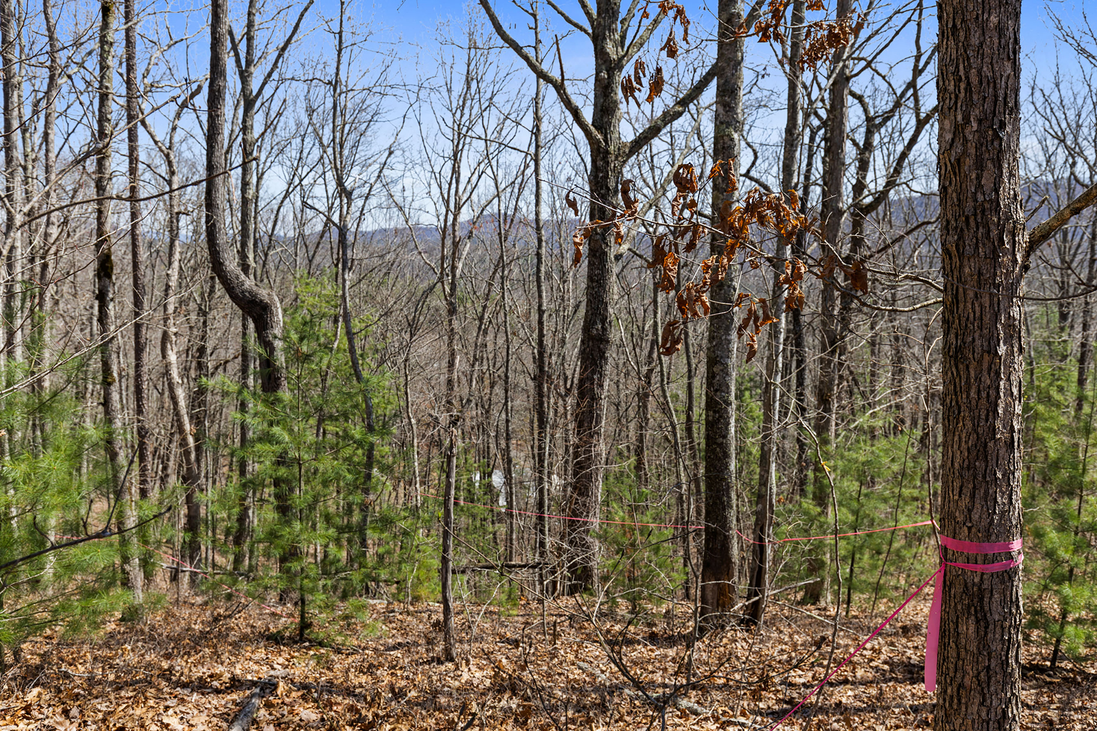  Stunning 1.42 Acre Lot in Hyde Creek - 物件實景