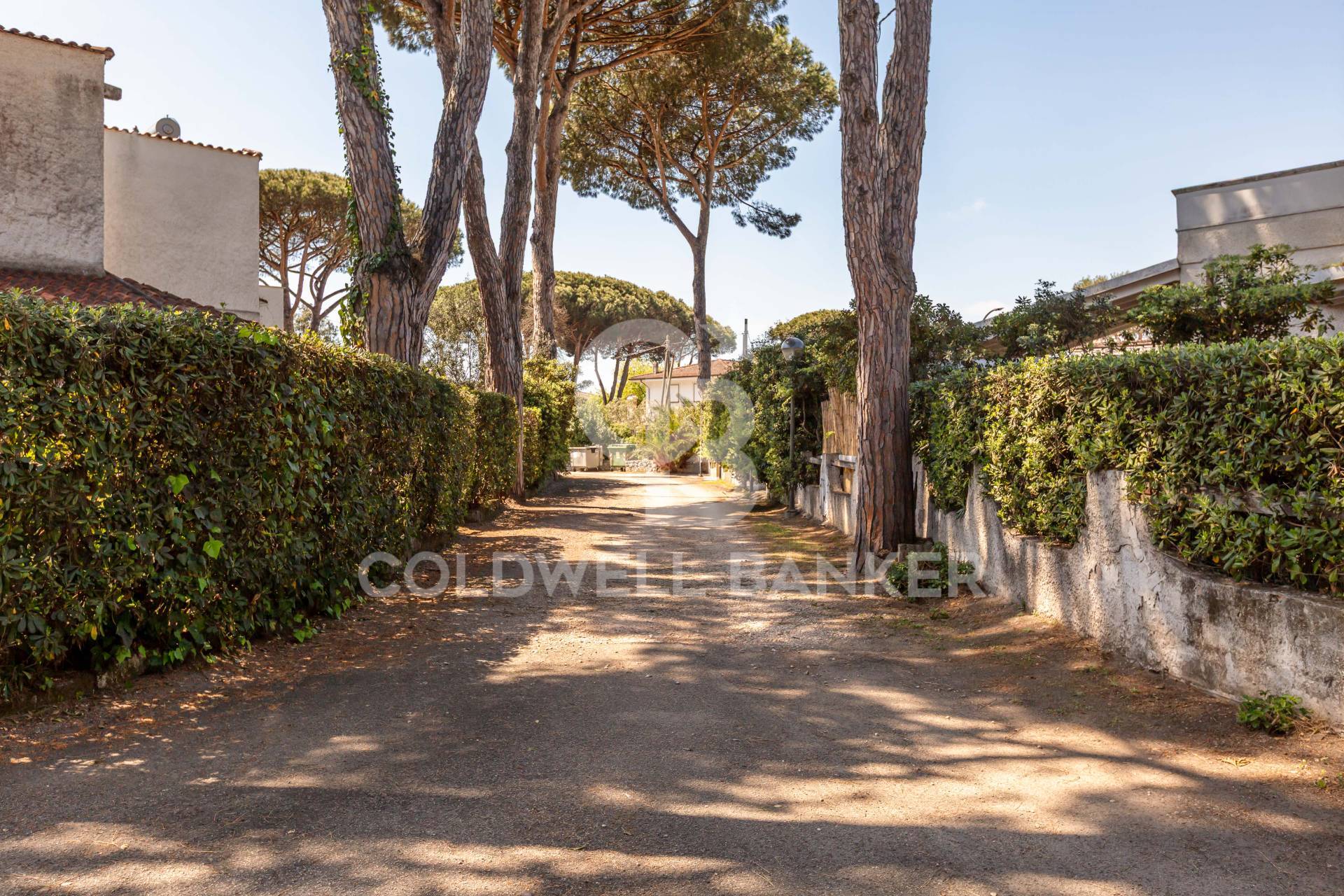 San Felice Circeo, Latina, 04017, IT, 4 Bedrooms Bedrooms, ,2 BathroomsBathrooms,Residential,For Sale,1776929