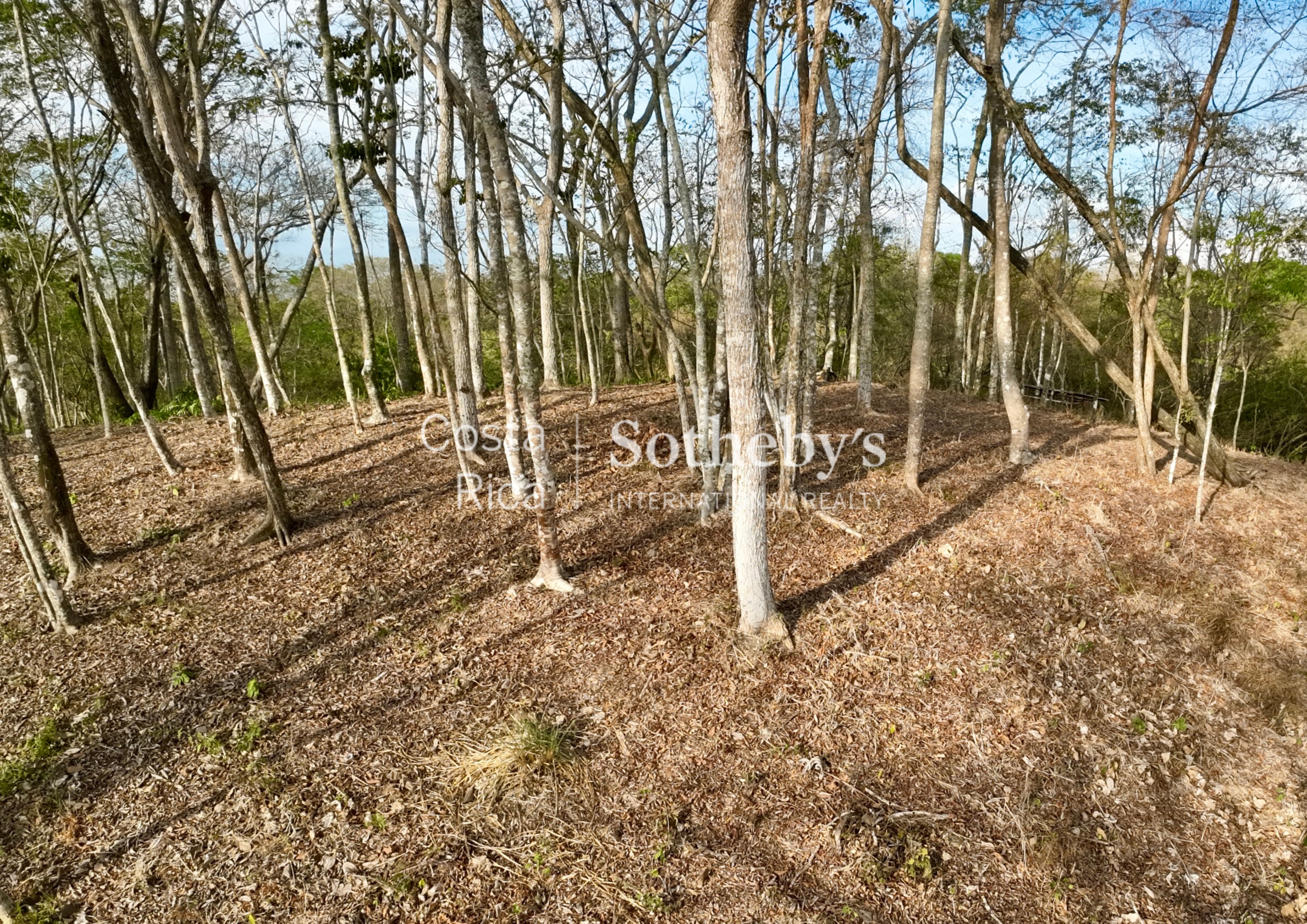  Idyllic Ocean View Lot in the Hills of Hermosa - 物件實景