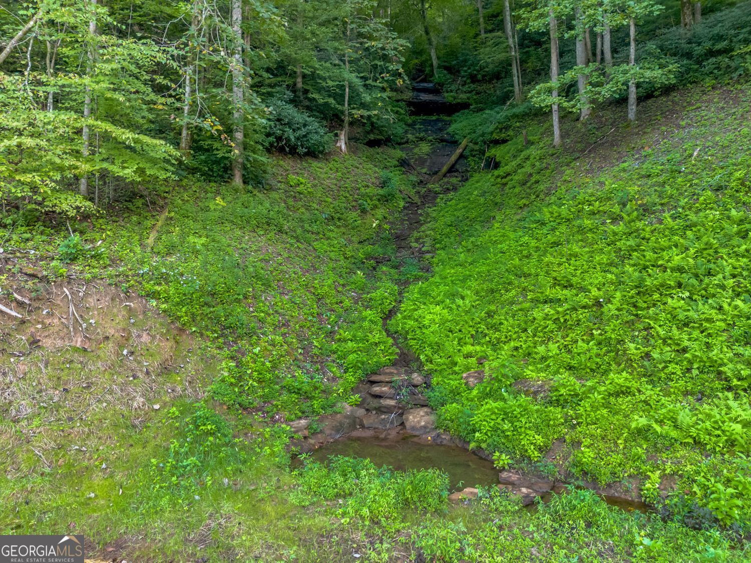 Clayton, Georgia, 30525, United States, ,Land,For Sale,1952018