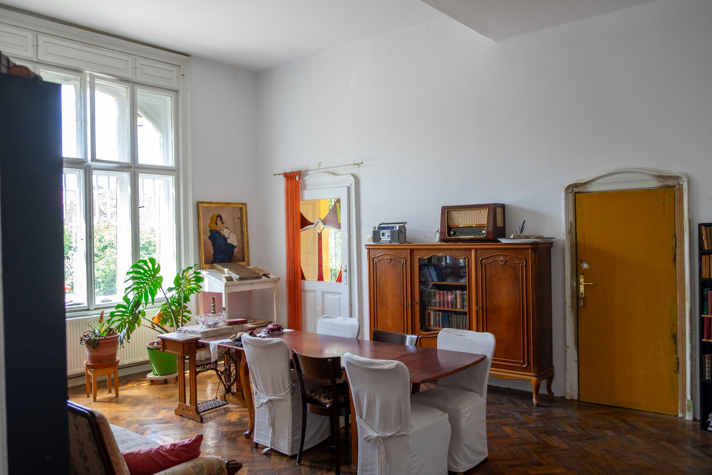  Ferch Manor - History and Tradition near Timioara - 物件實景