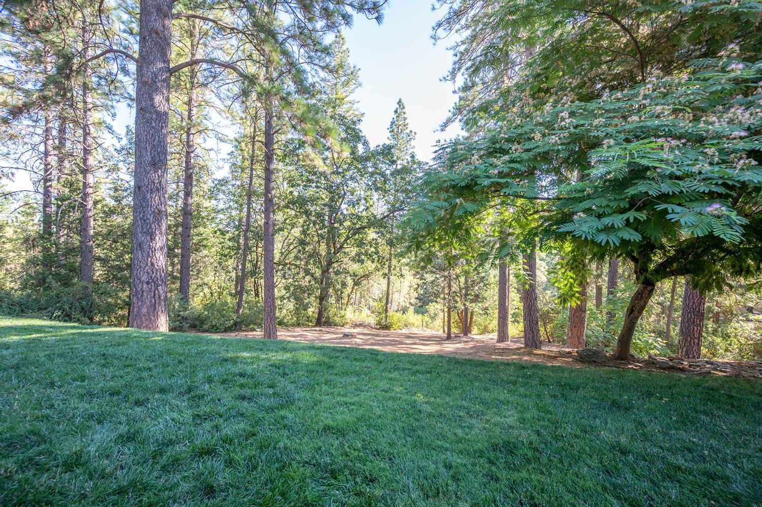 Placerville, California, 95667, United States, 3 Bedrooms Bedrooms, ,3 BathroomsBathrooms,Residential,For Sale,1937817