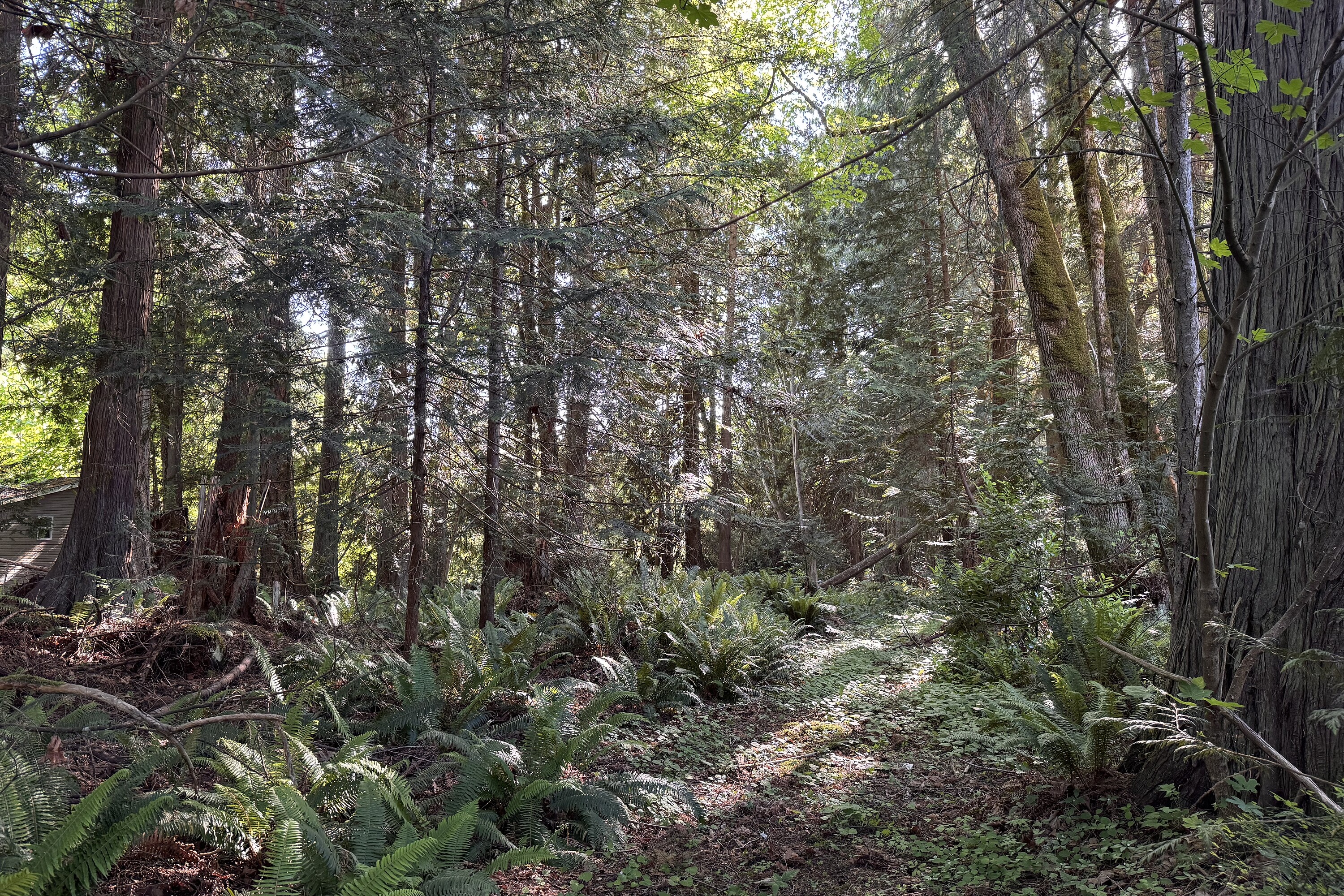  Sechelt, Sunshine Coast - 物件實景