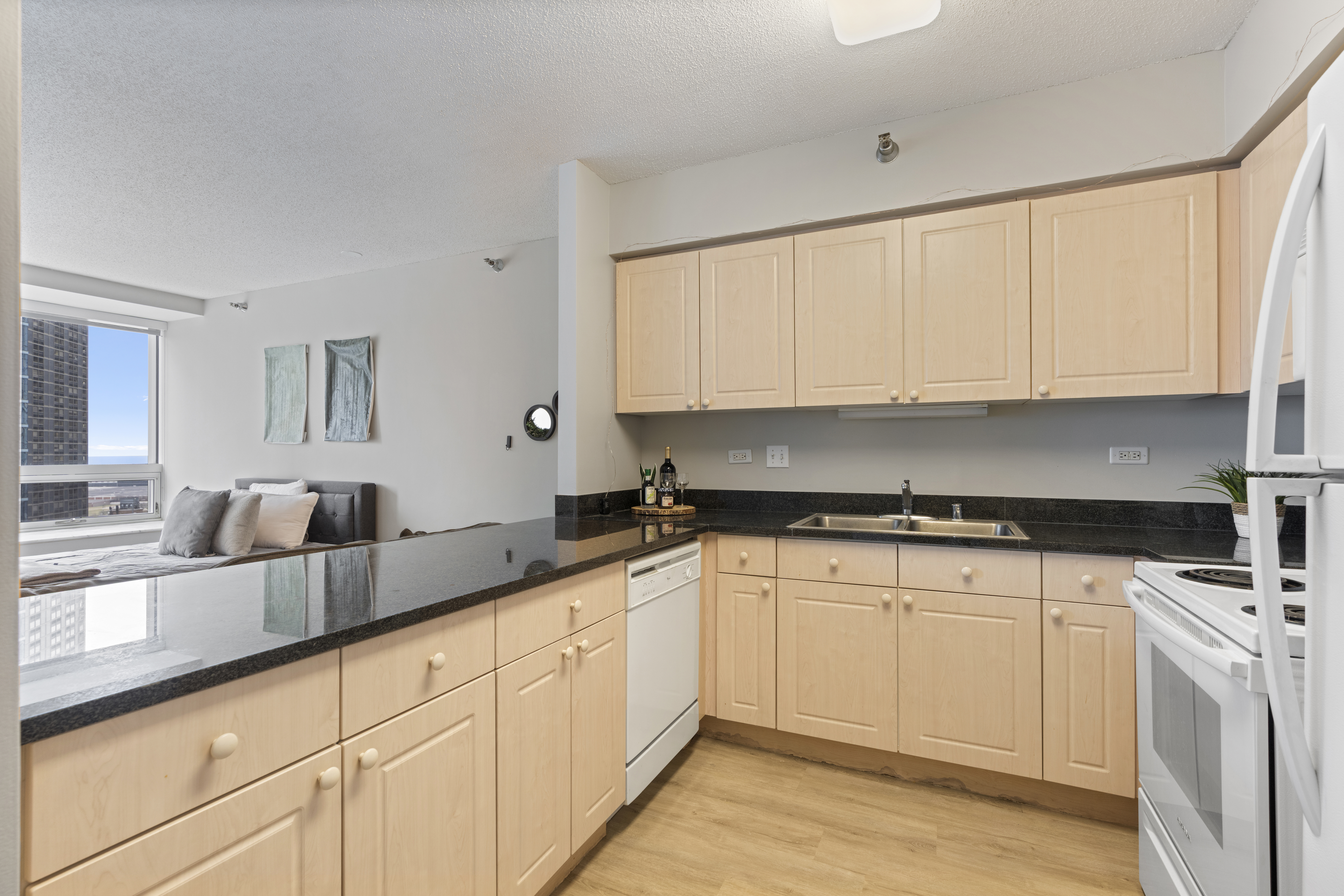  Great Large Studio with Northeast Views of Lake Michigan and Bennett Park - 物件實景
