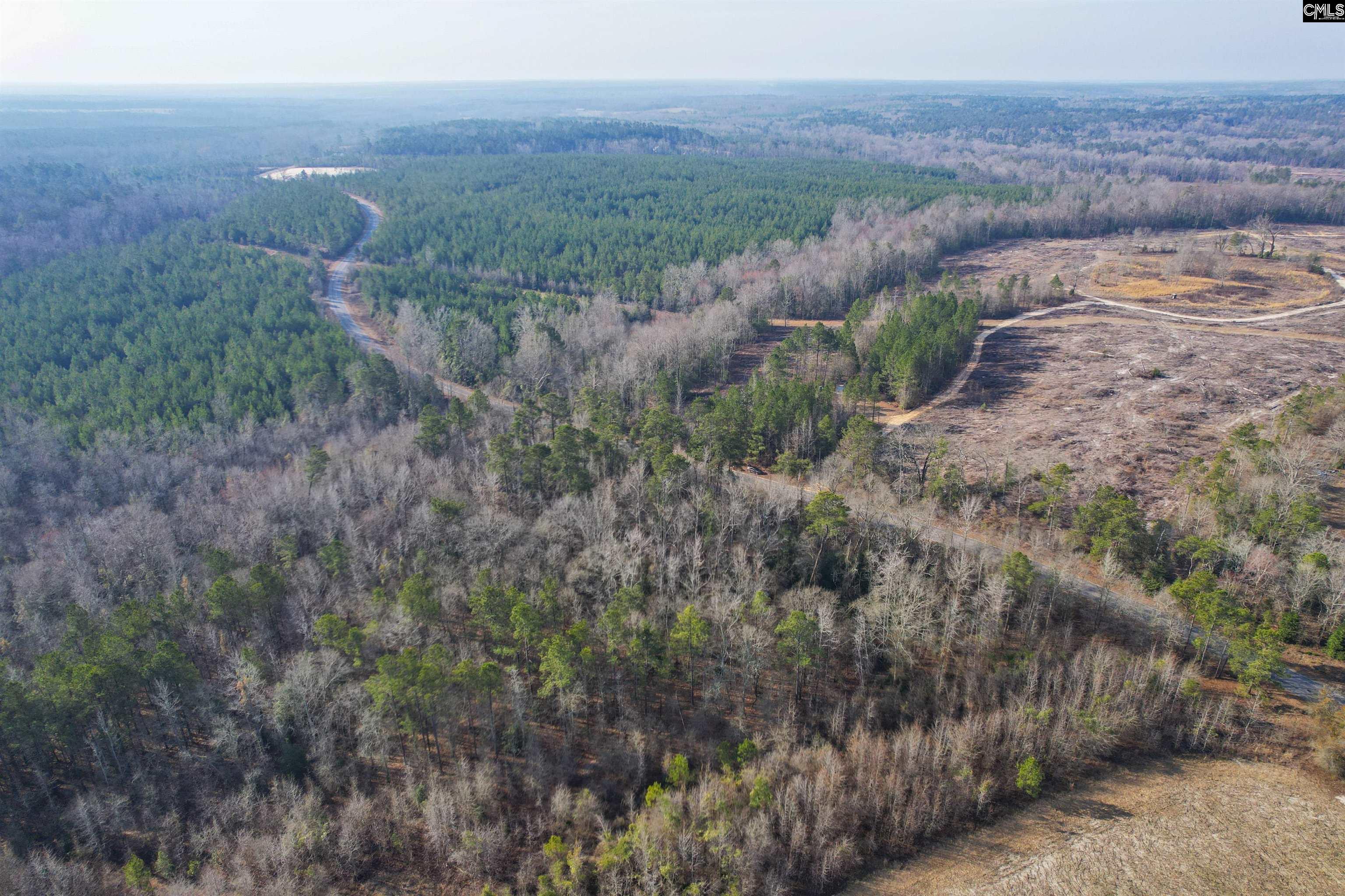 703 Neds Creek Road, Kershaw, South Carolina, 29067, United States, ,Land,For Sale,703 Neds Creek Road,1669372