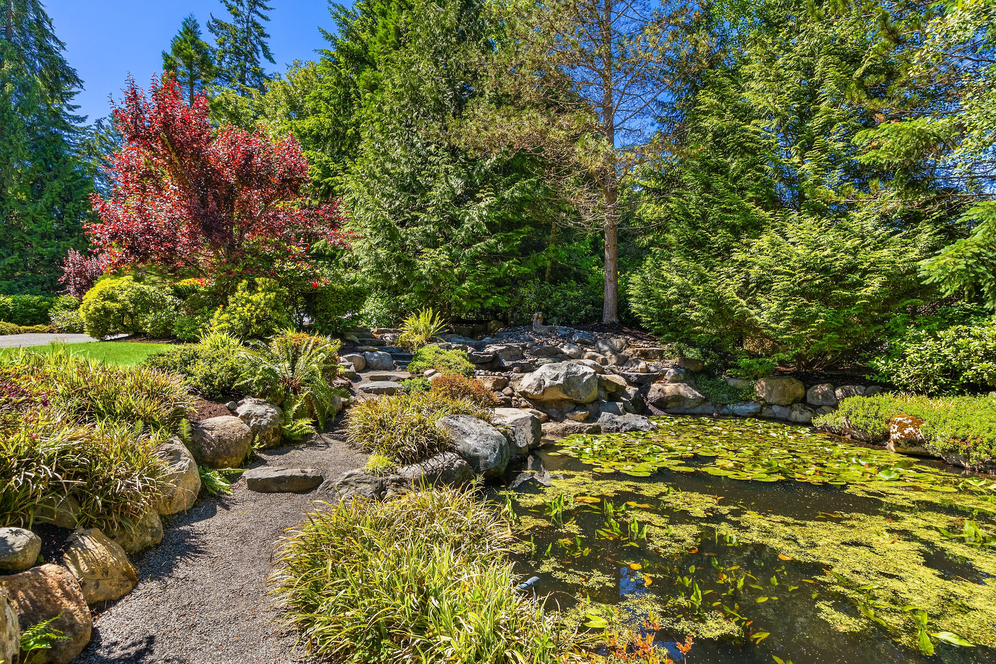  10199 Affirmed Lane Northeast, Bainbridge Island, WA 98110 - 物件實景