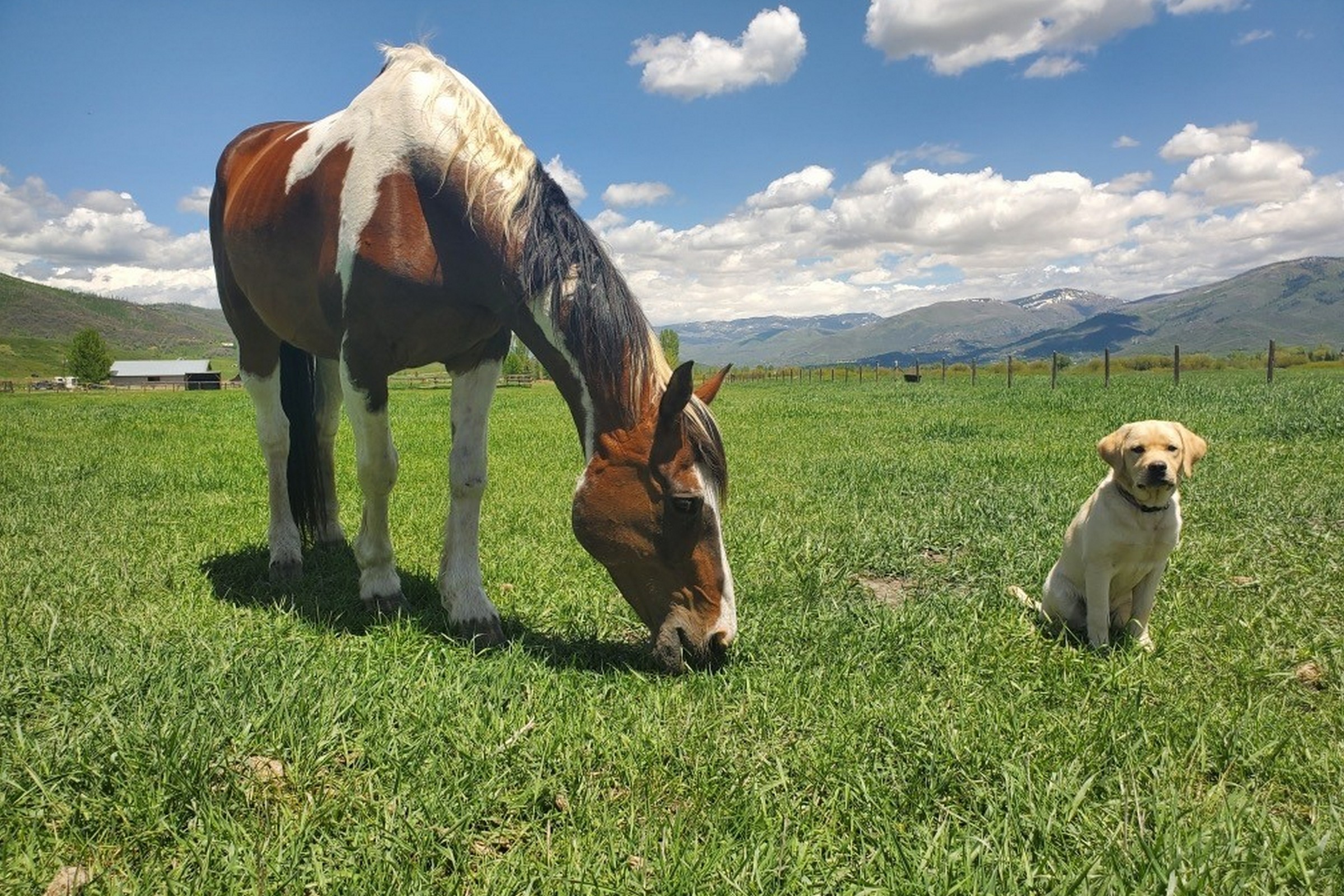  33250 County Road 14, Steamboat Springs, CO 80487 - 物件實景