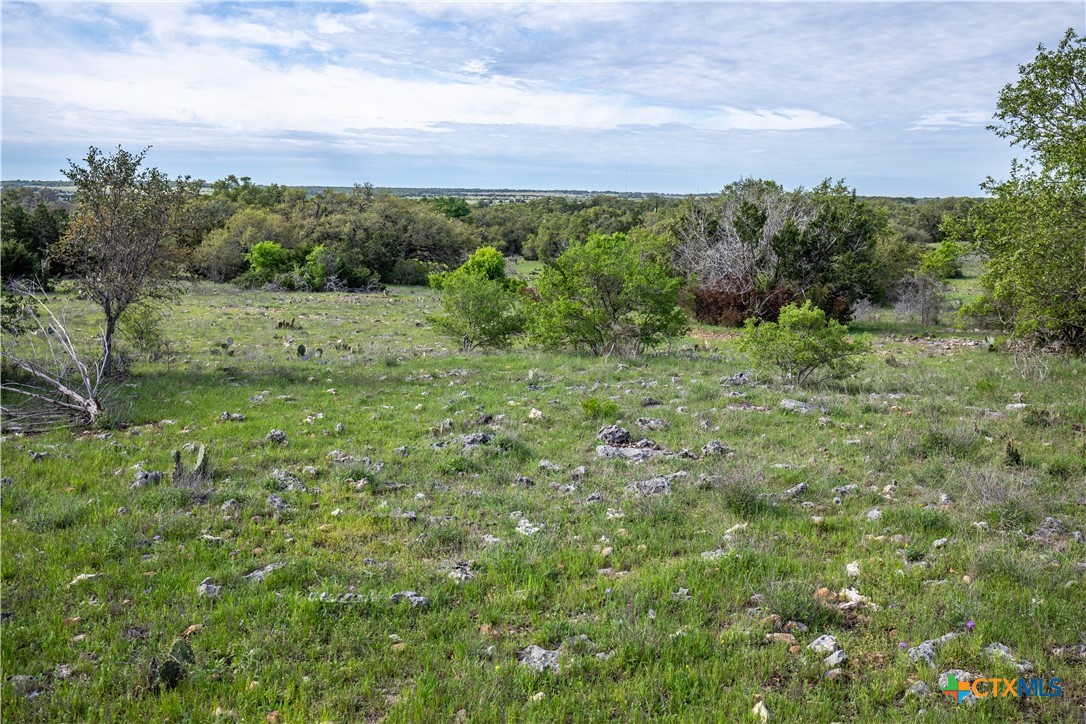 San Marcos, Texas, 78666, United States, ,Land,For Sale,1990898