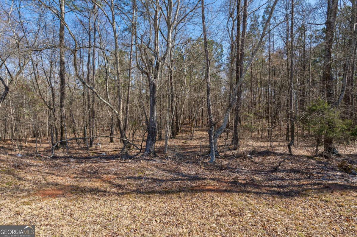 Loganville, Georgia, 30052, United States, ,Land,For Sale,1794501