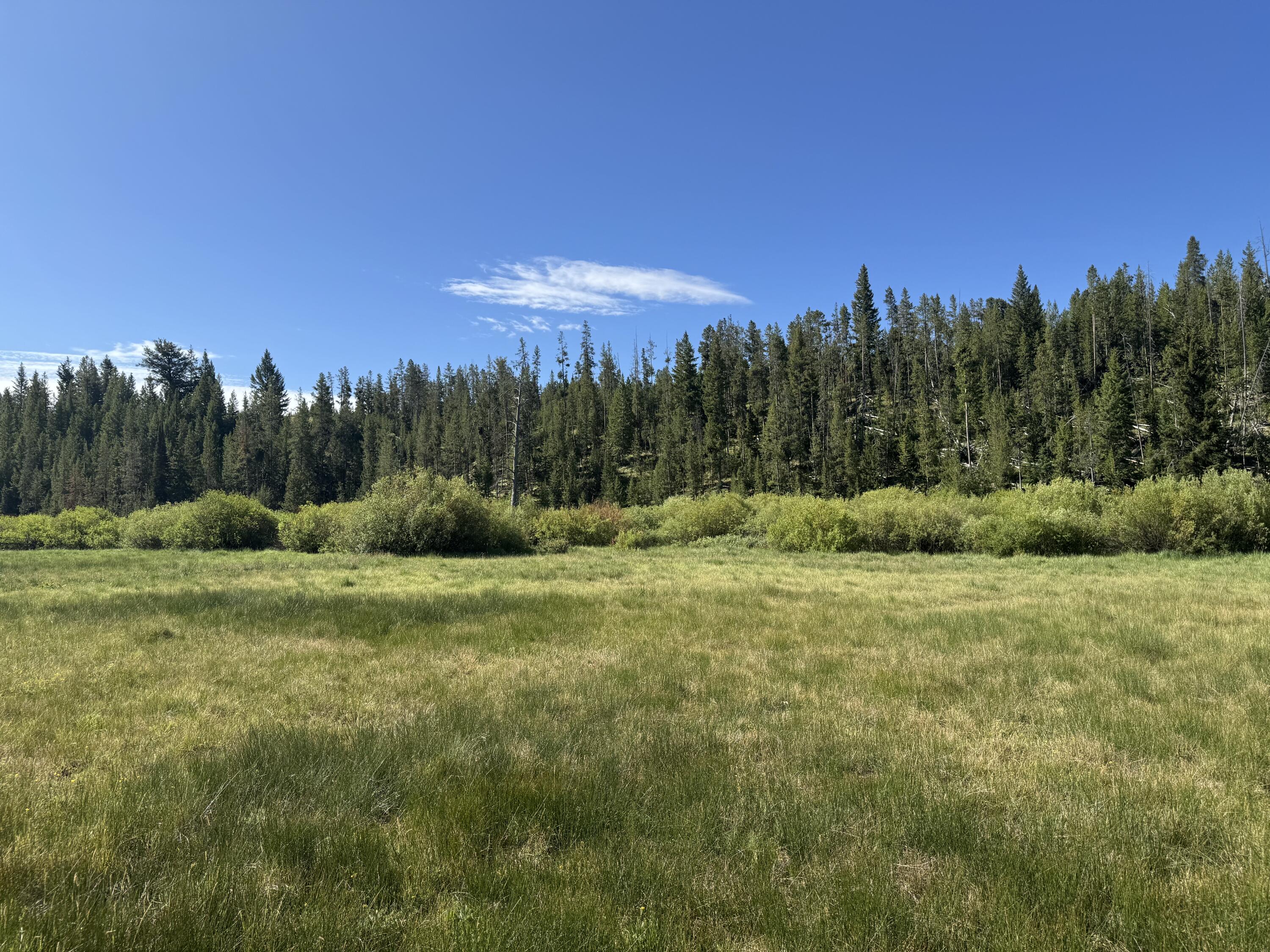 Stanley, Idaho, 83278, United States, ,Land,For Sale,1901484