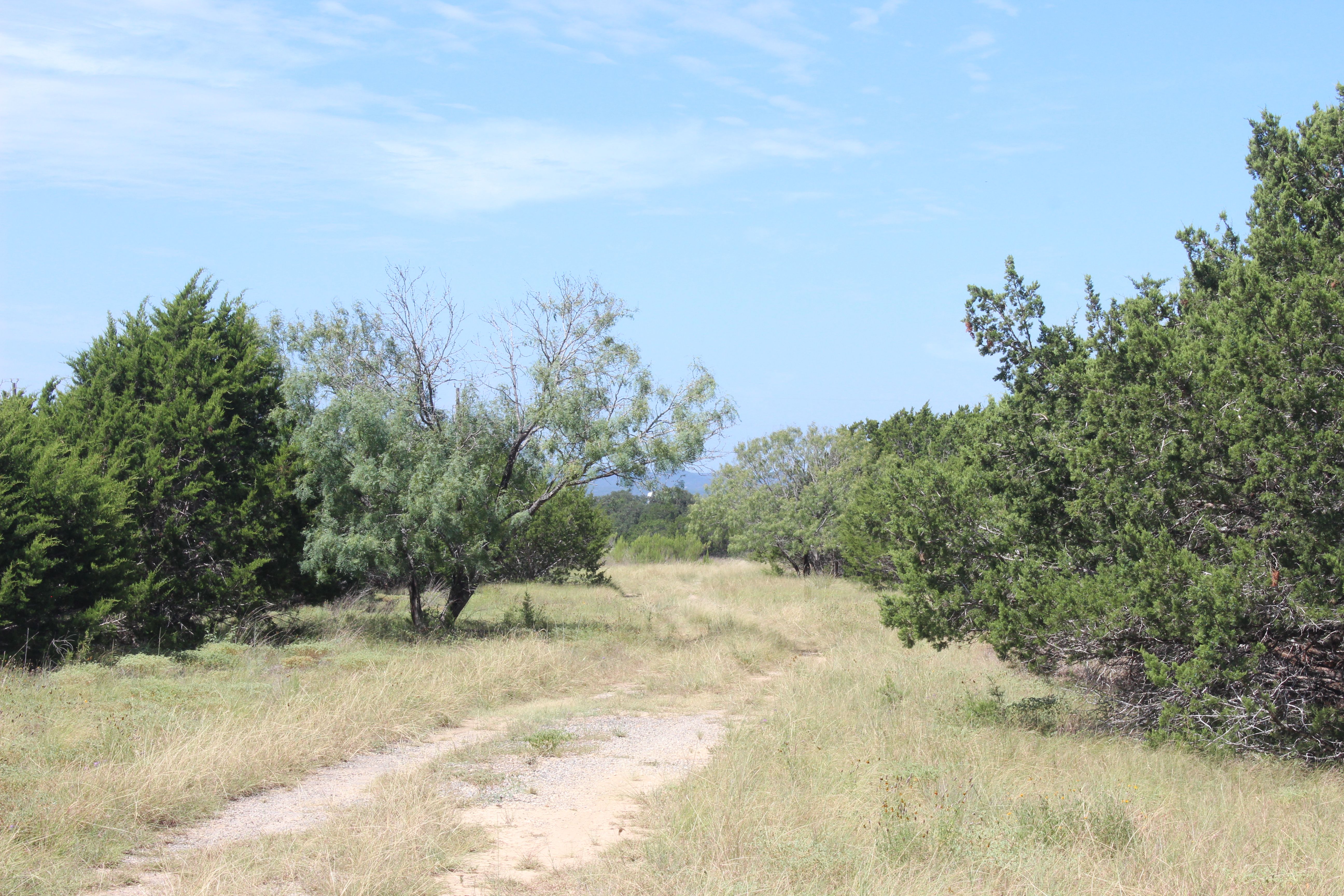  200+/- Acre Lost Valley  Ranch, Bandera, TX 78003 - 物件實景