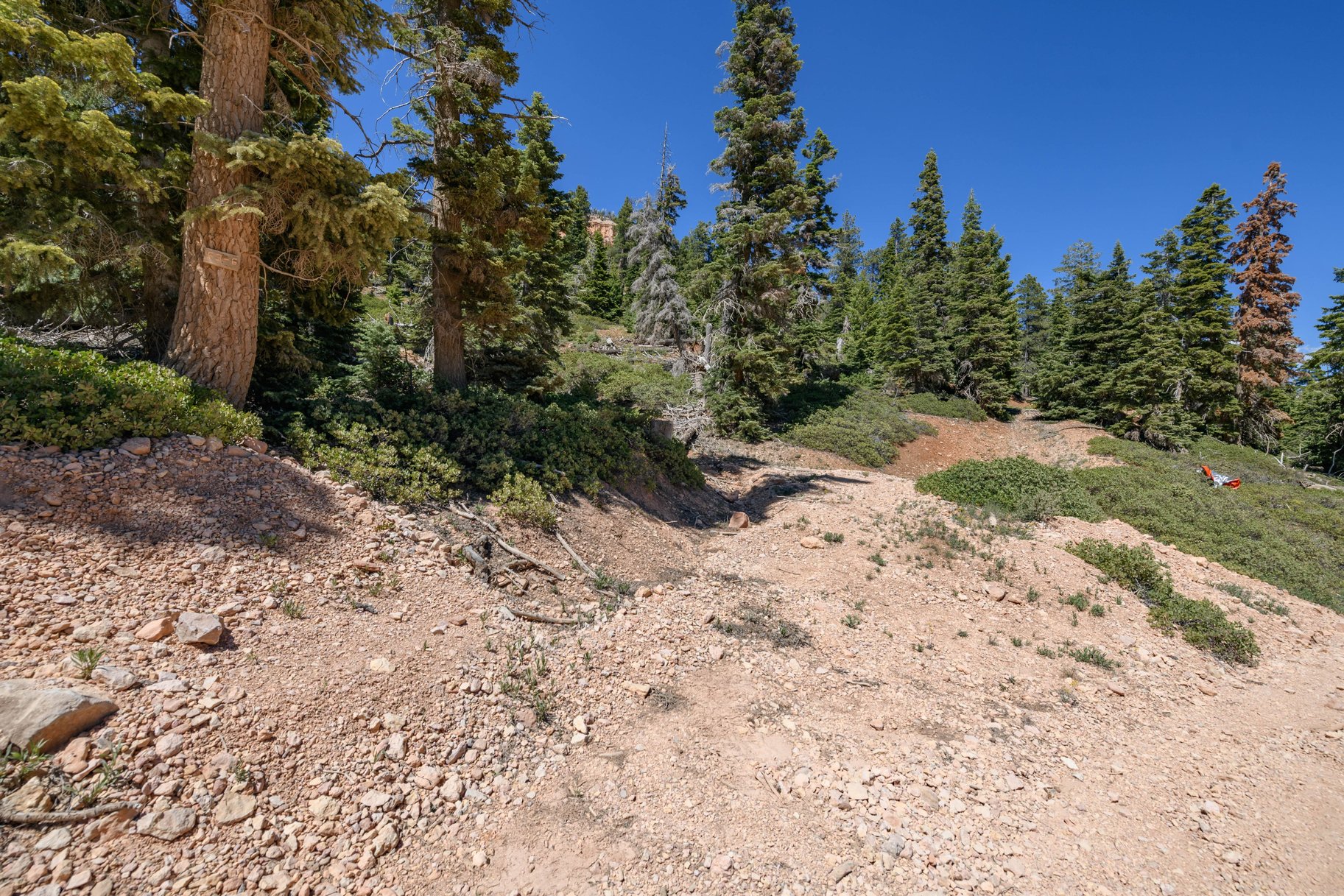  Quiet Mountain Retreat Near Navajo Lake - 物件實景