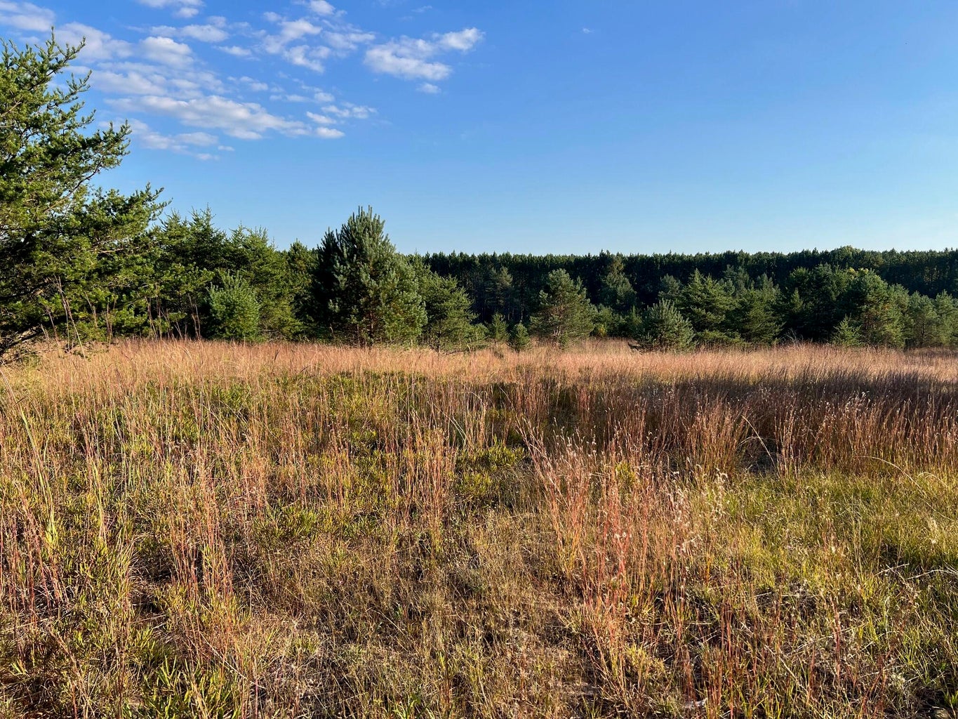 Baldwin, Michigan, 49304, United States, 3 Bedrooms Bedrooms, ,2 BathroomsBathrooms,Residential,For Sale,1990507