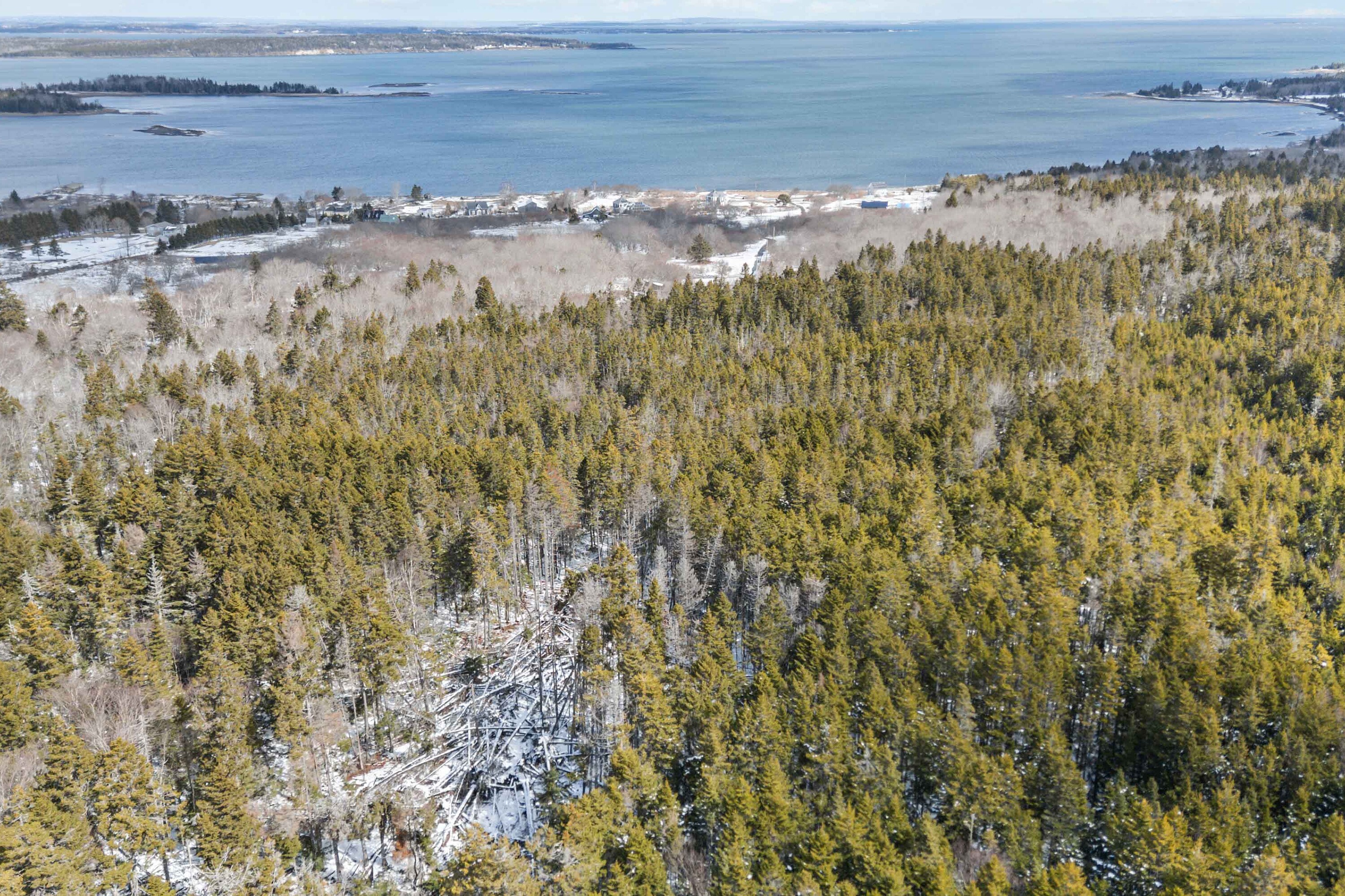  Lower Rose Bay, - 物件實景