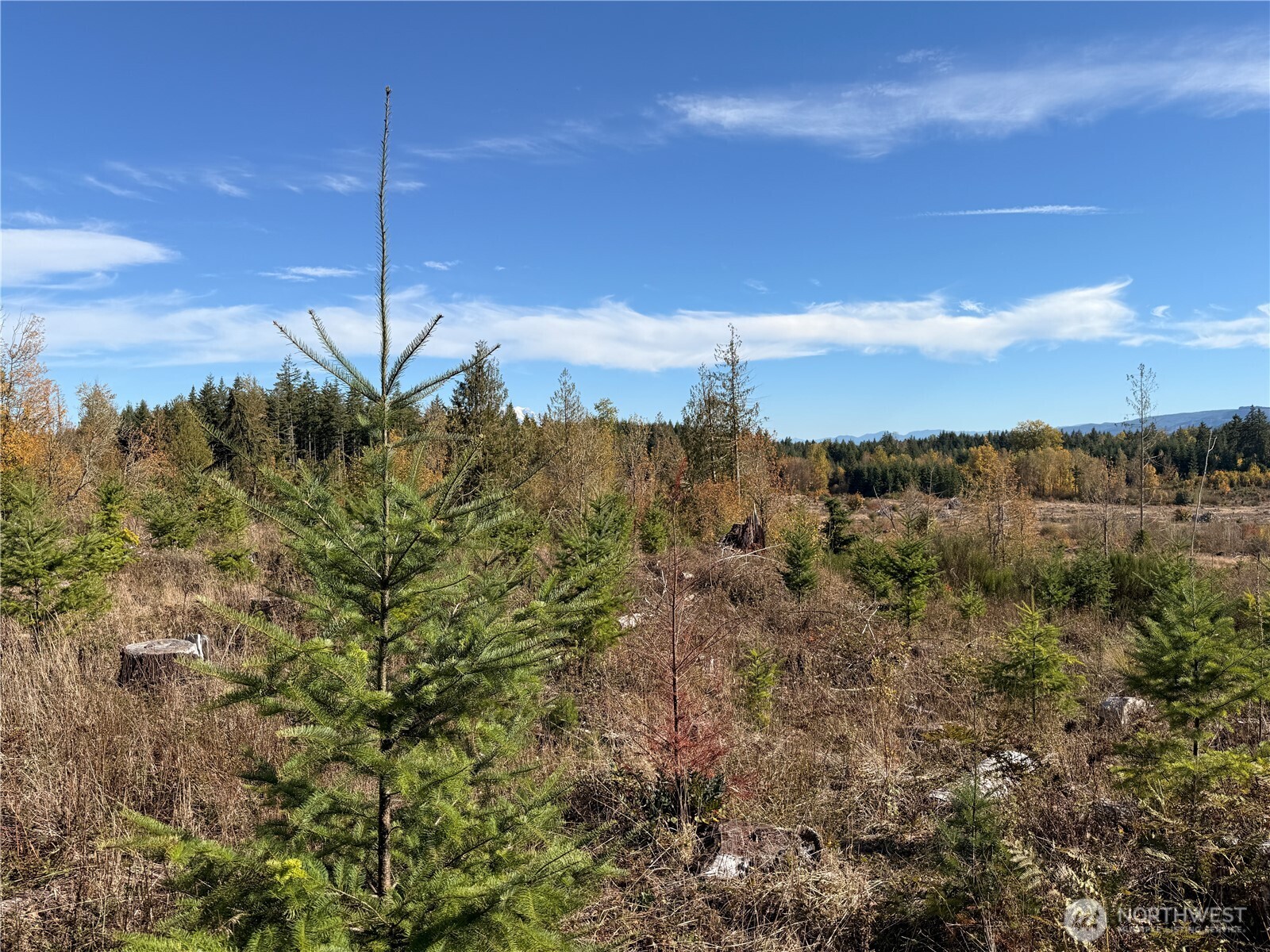 Rainier, Washington, 98576, United States, ,Land,For Sale,1998419