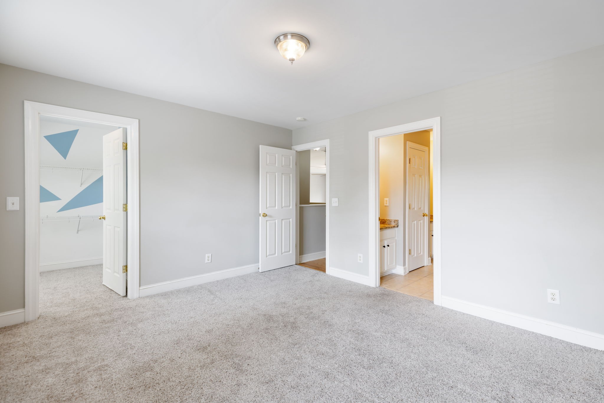  1247 Wheatley Forest Dr, Brentwood, TN, 37027 - 物件實景