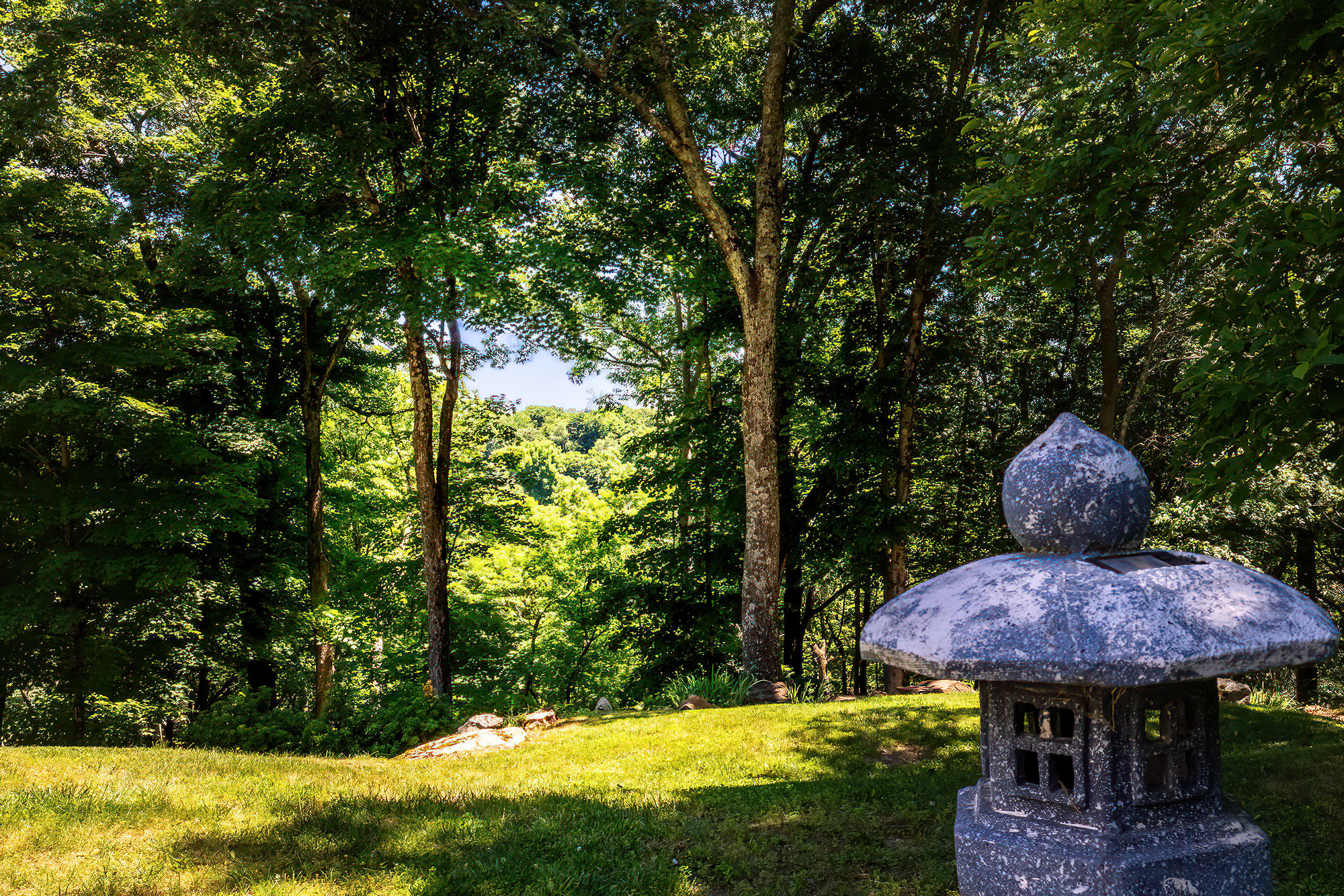  62 Blacksmith Ridge Road - 物件實景