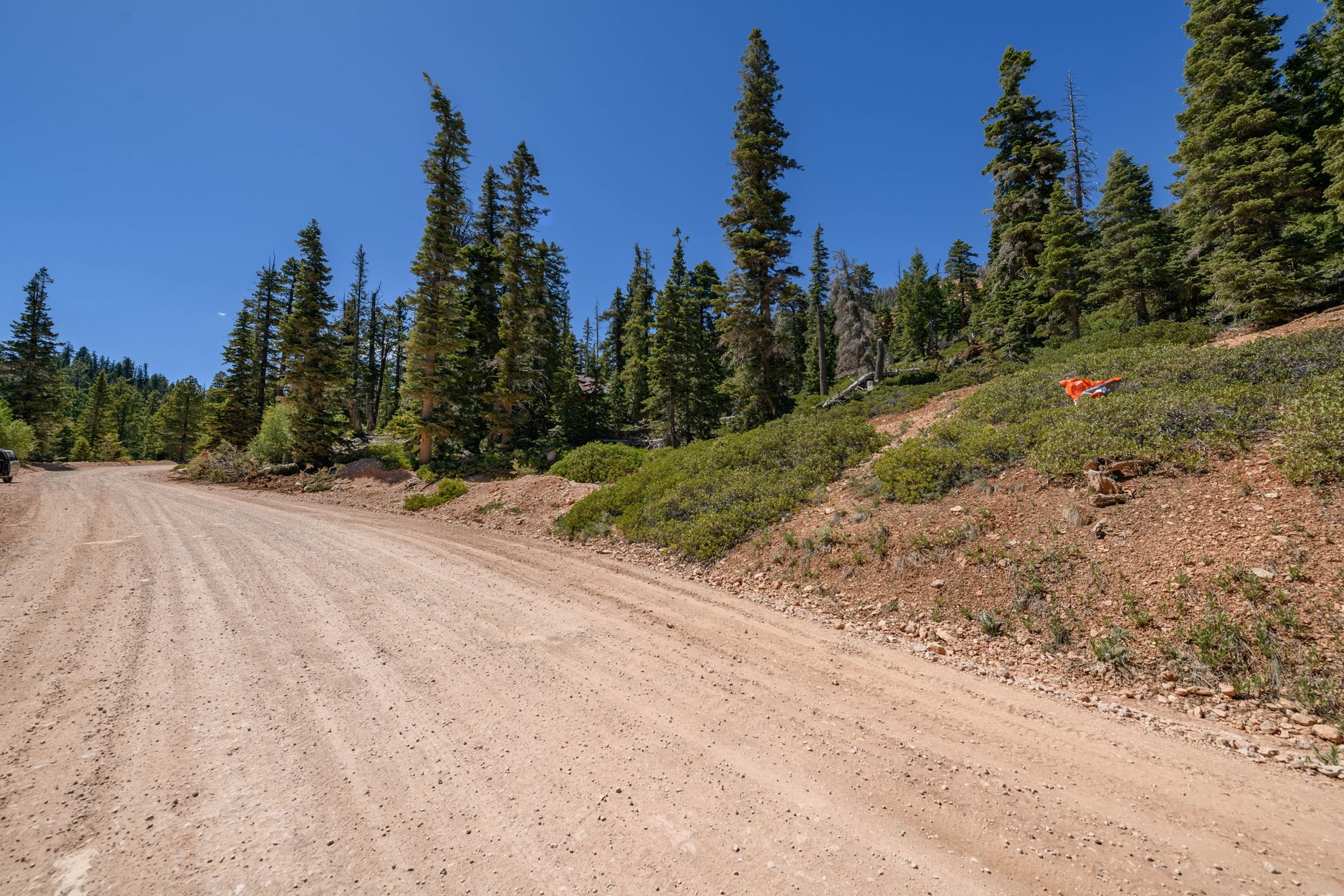  Quiet Mountain Retreat Near Navajo Lake - 物件實景