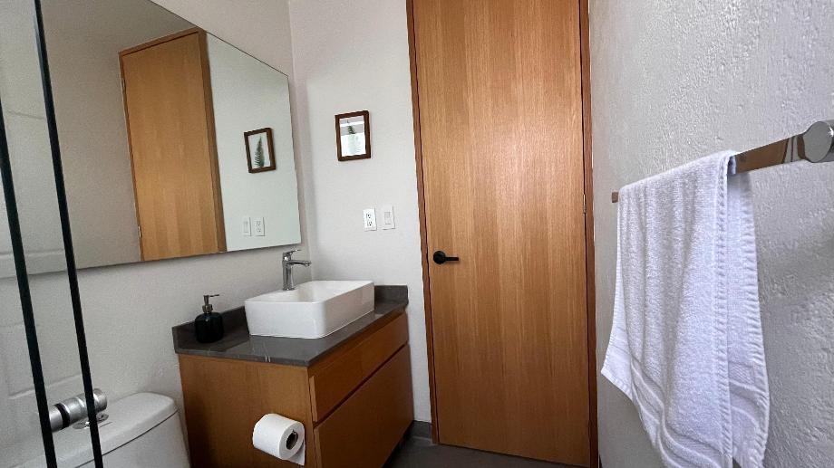 Av. Coyoacan, Benito Juárez, Ciudad de México, 03100, Mexico, 2 Bedrooms Bedrooms, ,2 BathroomsBathrooms,Residential,For Sale,Av. Coyoacan,1624720