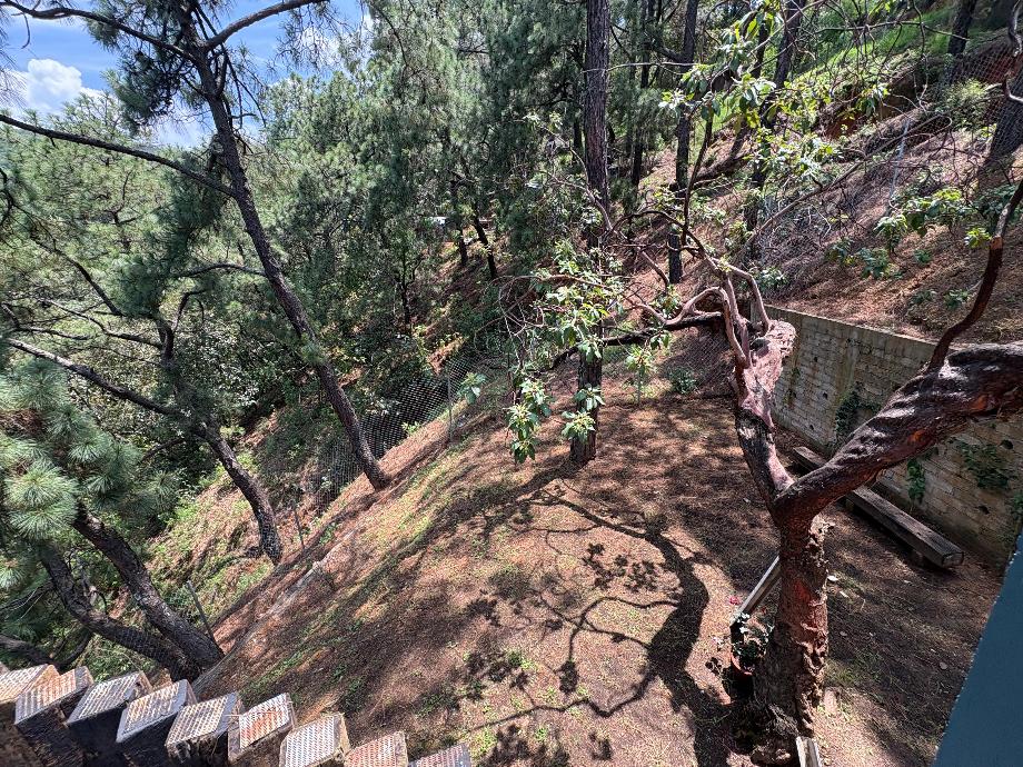 Valle de Bravo, Estado de méxico, 51200, Mexico, 3 Bedrooms Bedrooms, ,2 BathroomsBathrooms,Residential,For Sale,1925478