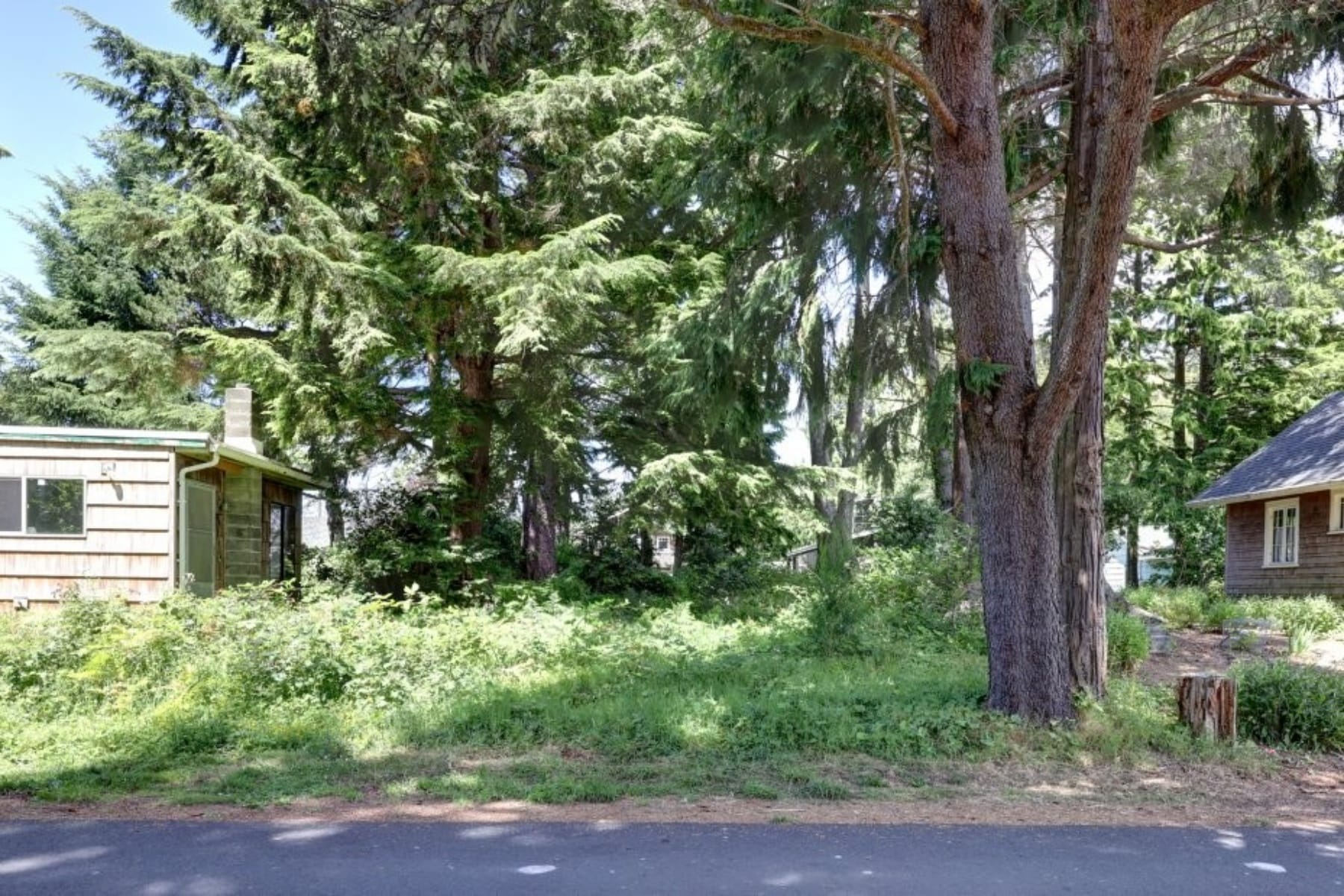  216 E Harrison ST Cannon Beach, OR 97110 - 物件實景