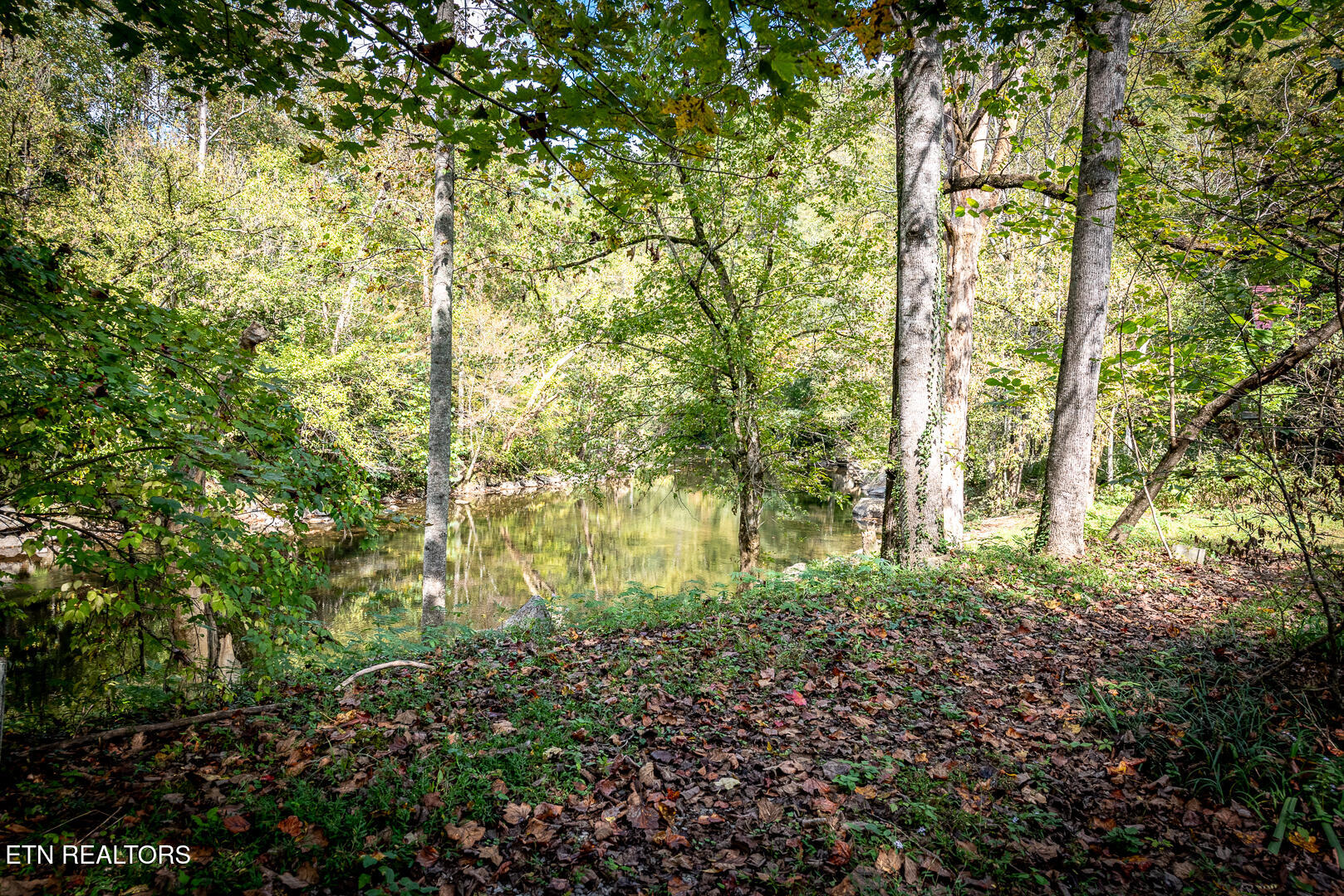 Townsend, Tennessee, 37882, United States, 1 Bedroom Bedrooms, ,1 BathroomBathrooms,Residential,For Sale,1973963