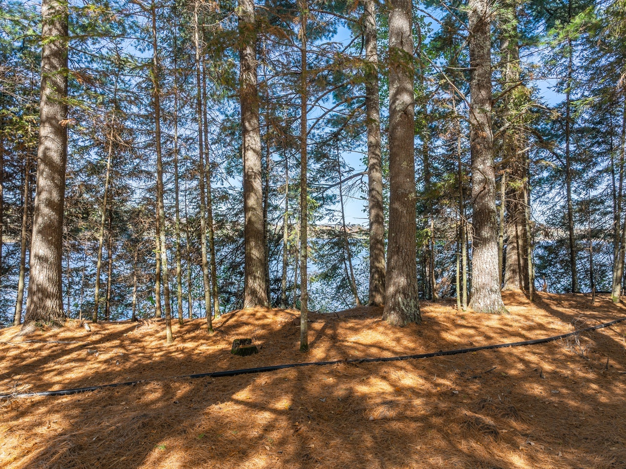 Mercer, Wisconsin, 54547, United States, 3 Bedrooms Bedrooms, ,1 BathroomBathrooms,Residential,For Sale,1975010