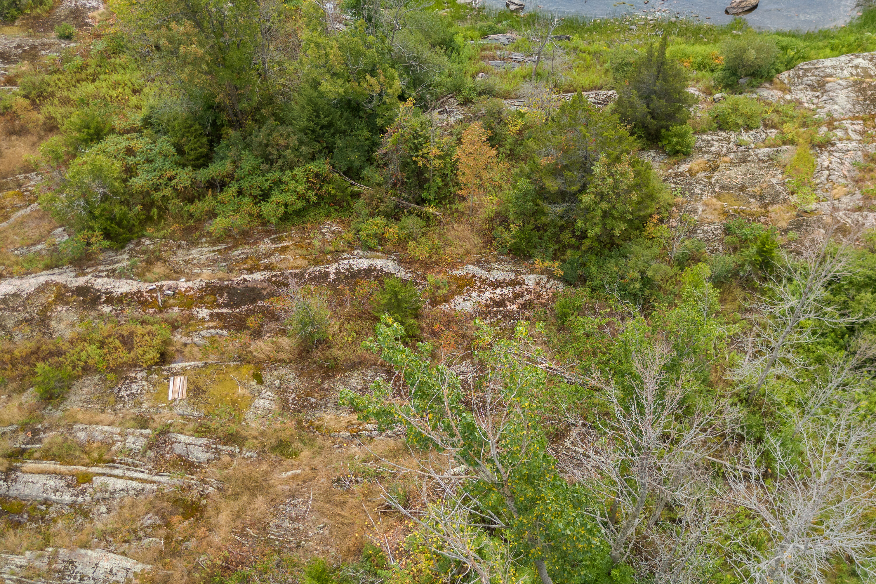 Archipelago On Georgian Bay - 物件實景