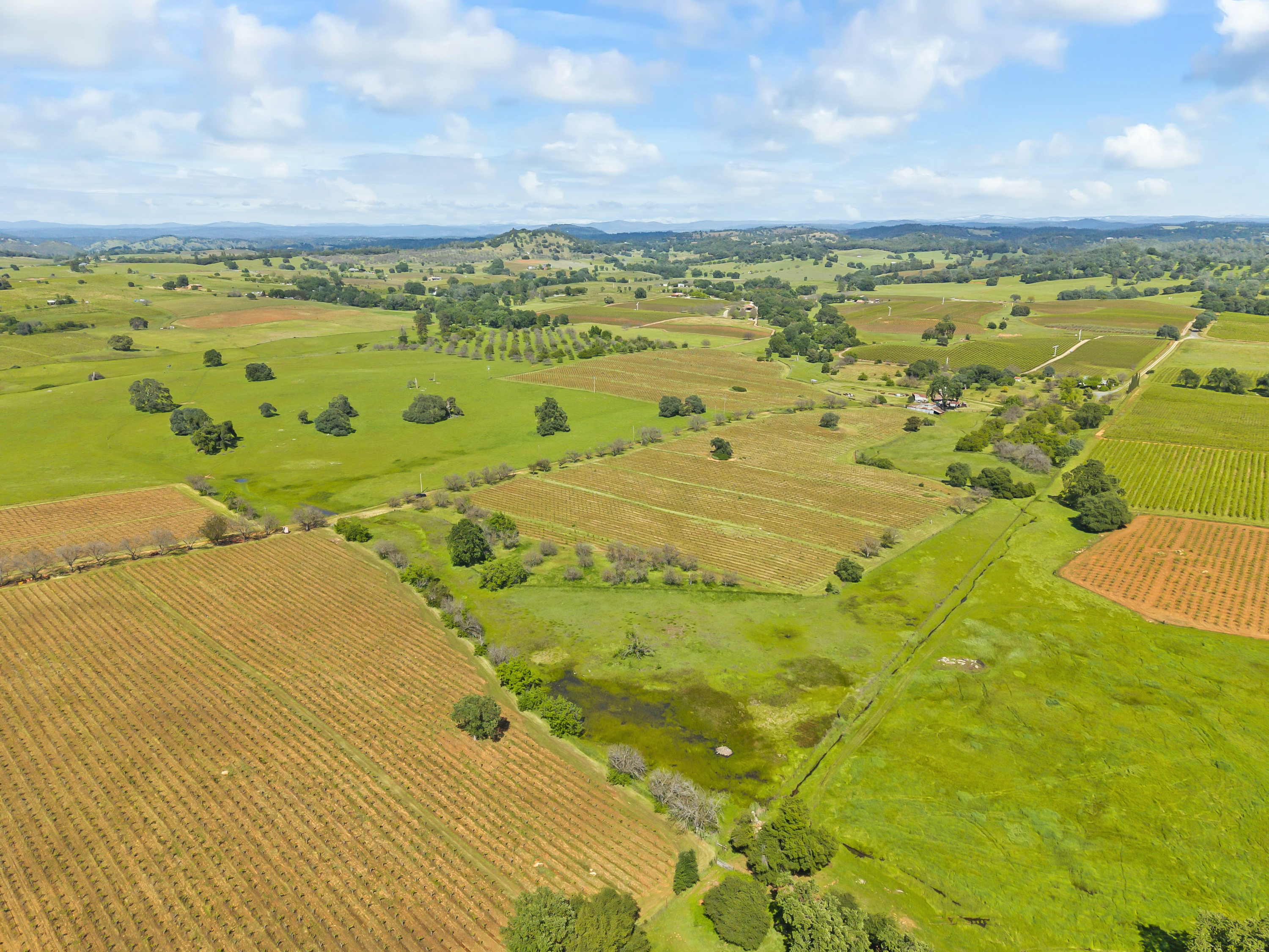  107 Acres - Seasonal Creek - Legacy - 物件實景