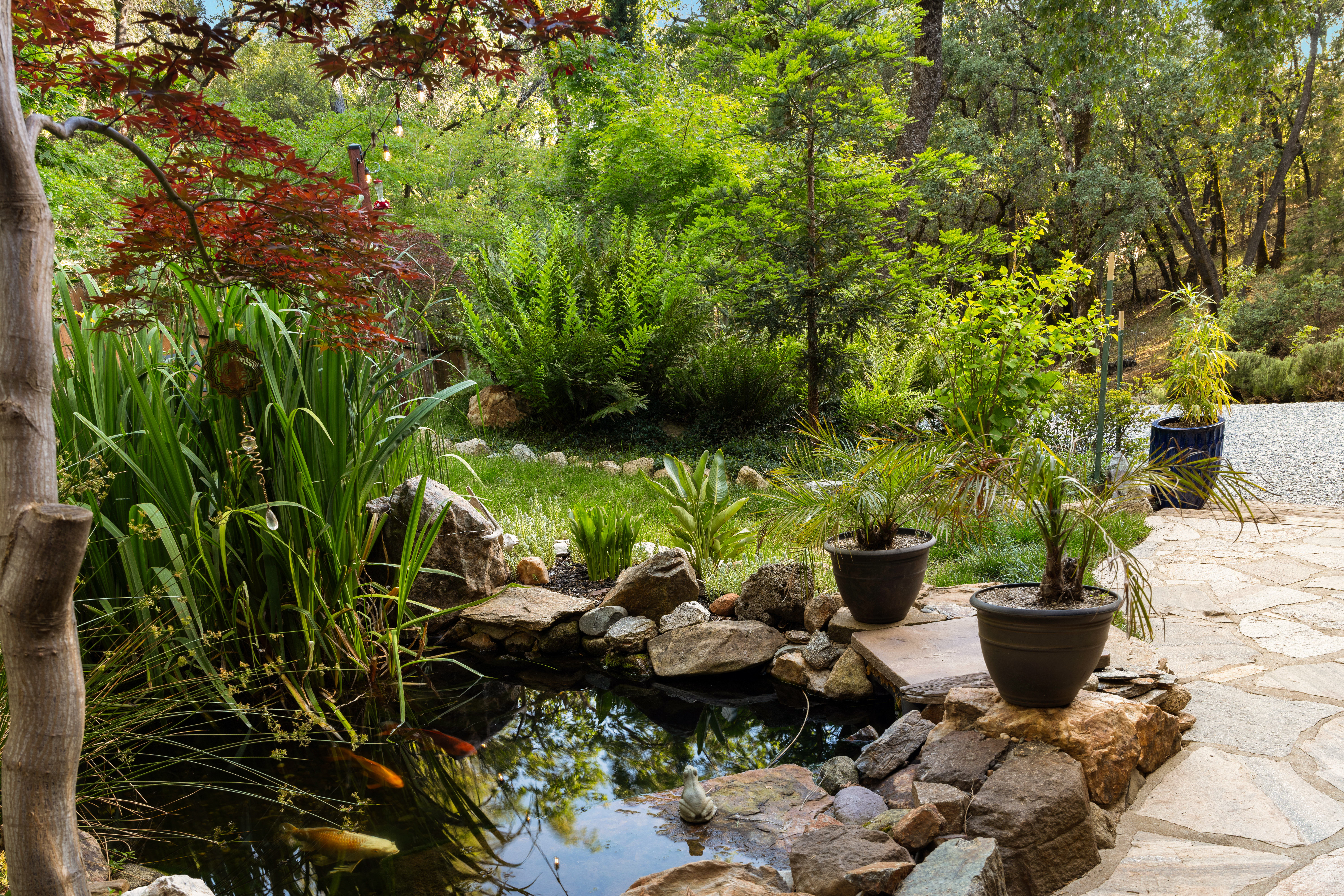  5086 Woodland Drive, Placerville, CA 95667 - 物件實景