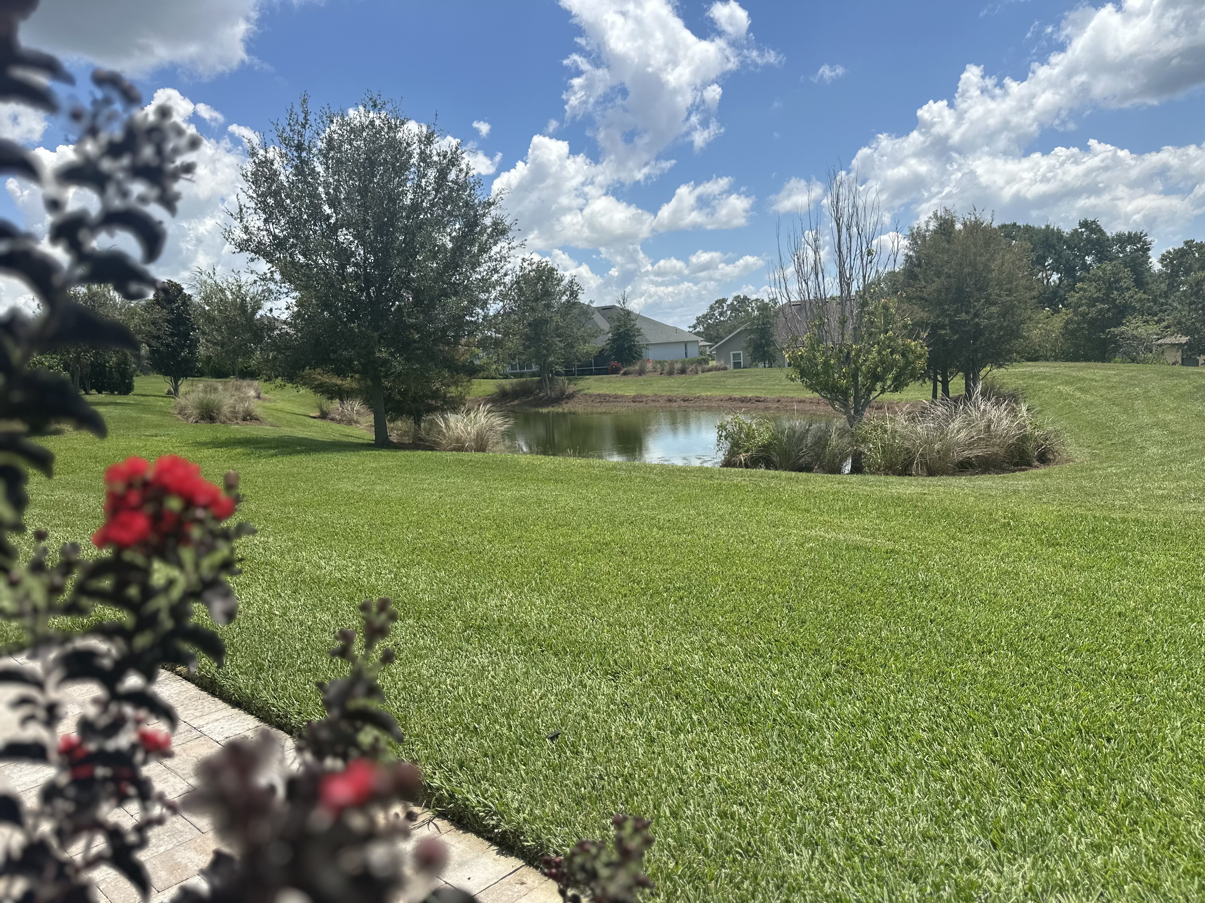 Lady Lake, Florida, 32159, United States, 4 Bedrooms Bedrooms, ,3 BathroomsBathrooms,Residential,For Sale,1945025