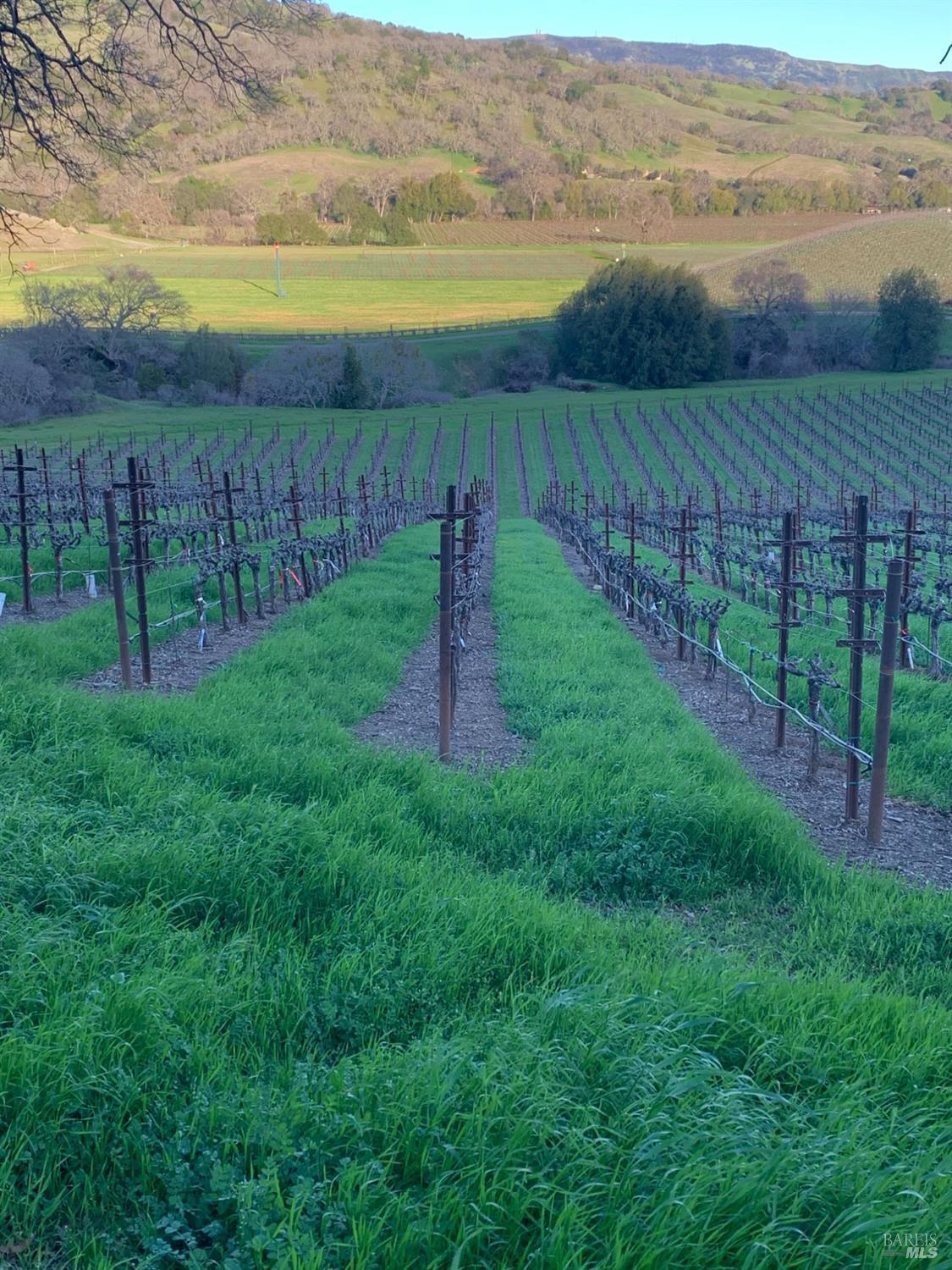 Napa, California, 94558, United States, 3 Bedrooms Bedrooms, ,3 BathroomsBathrooms,Residential,For Sale,1991897