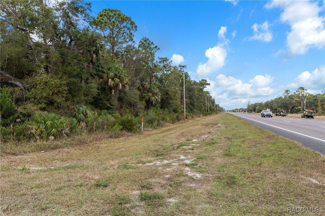 Crystal River, Florida, 34428, United States, ,Land,For Sale,2005884